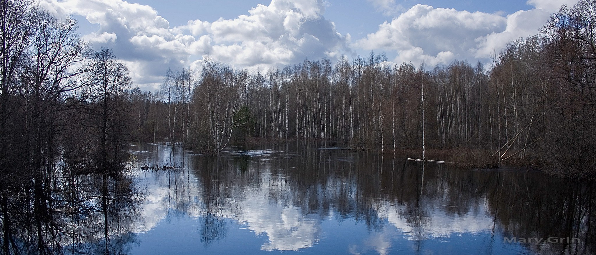 Русская деревня. Детский и семейный фотограф, фотограф мероприятий Нижний Новгород
