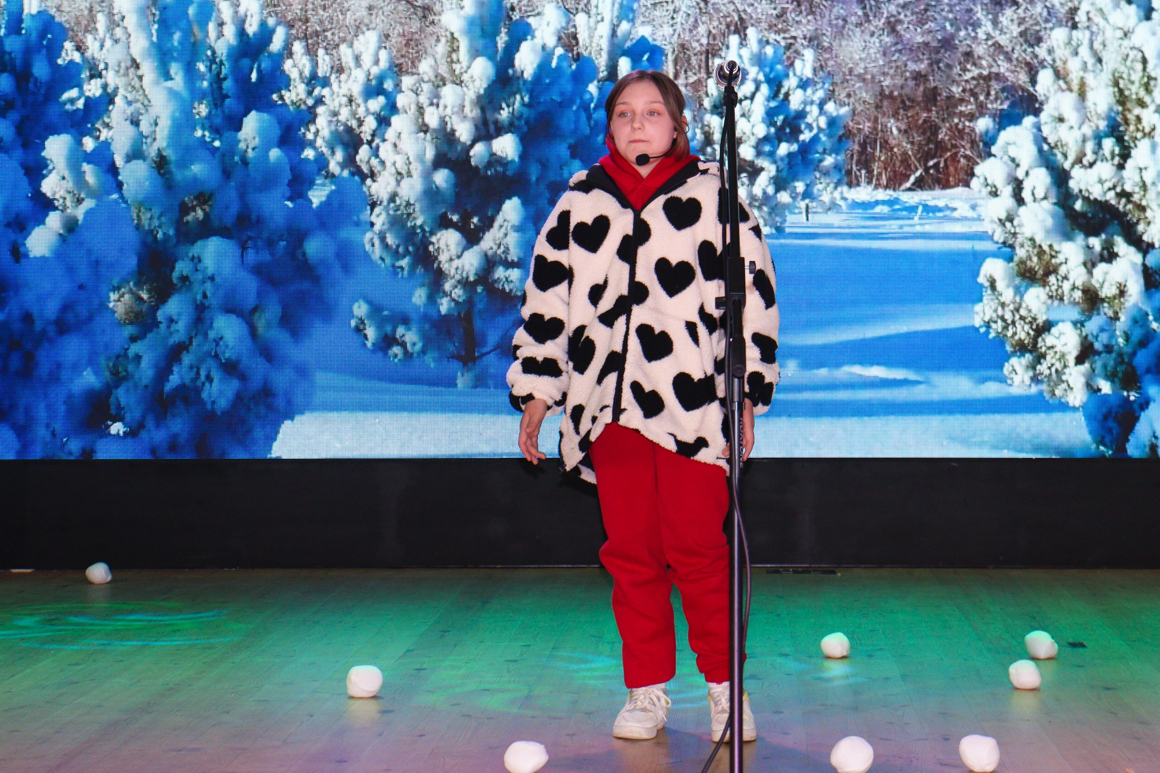 Новогодний концерт Шишли-Мышли