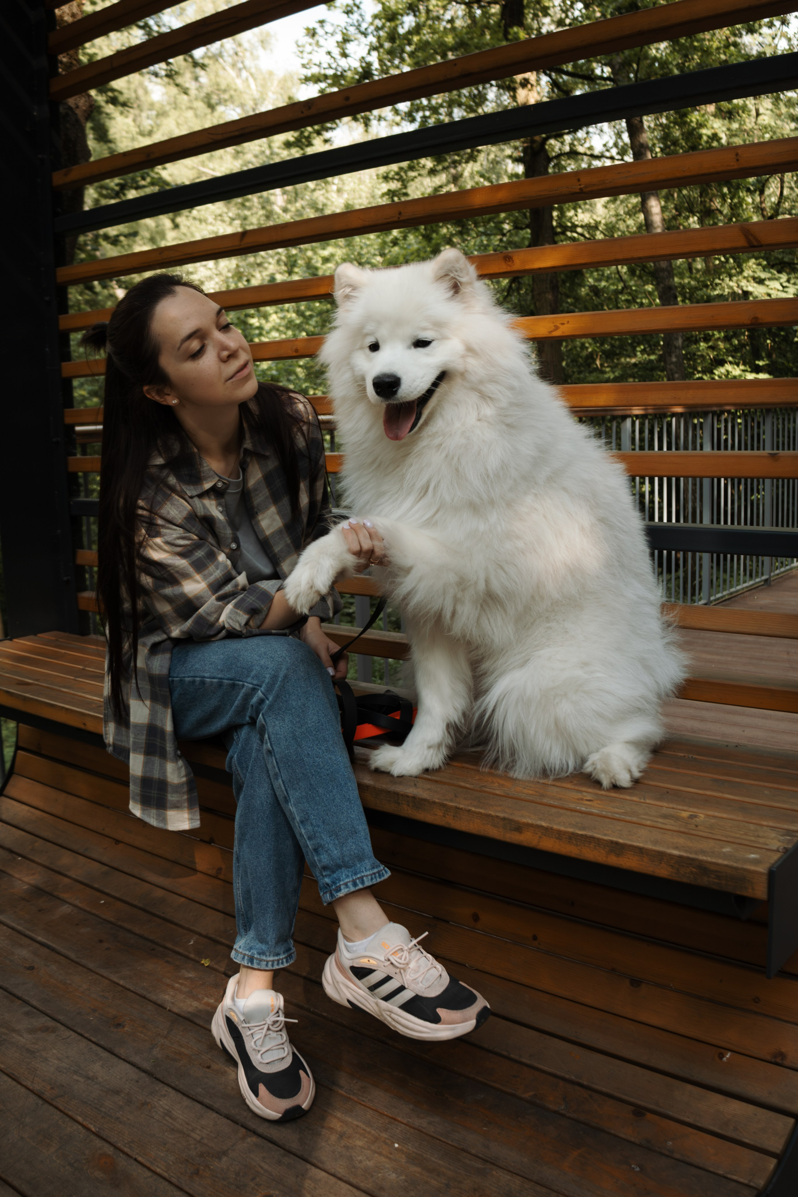 Фотосессия девушки с 2 собаками самоедами в лесопарке. Фотограф-анималист в Москве Екатерина Тихонова