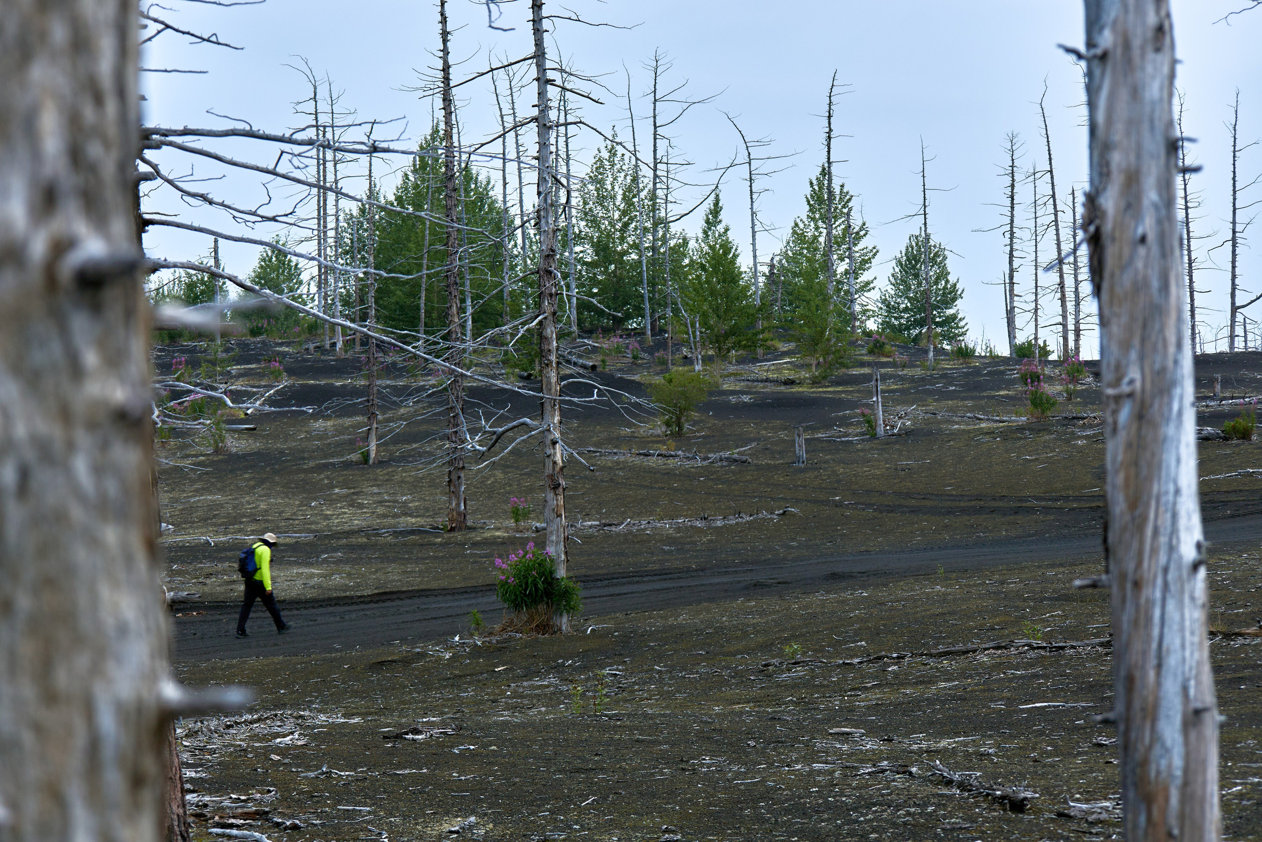 Камчатка. Travel-фотограф Ирина Милинцова