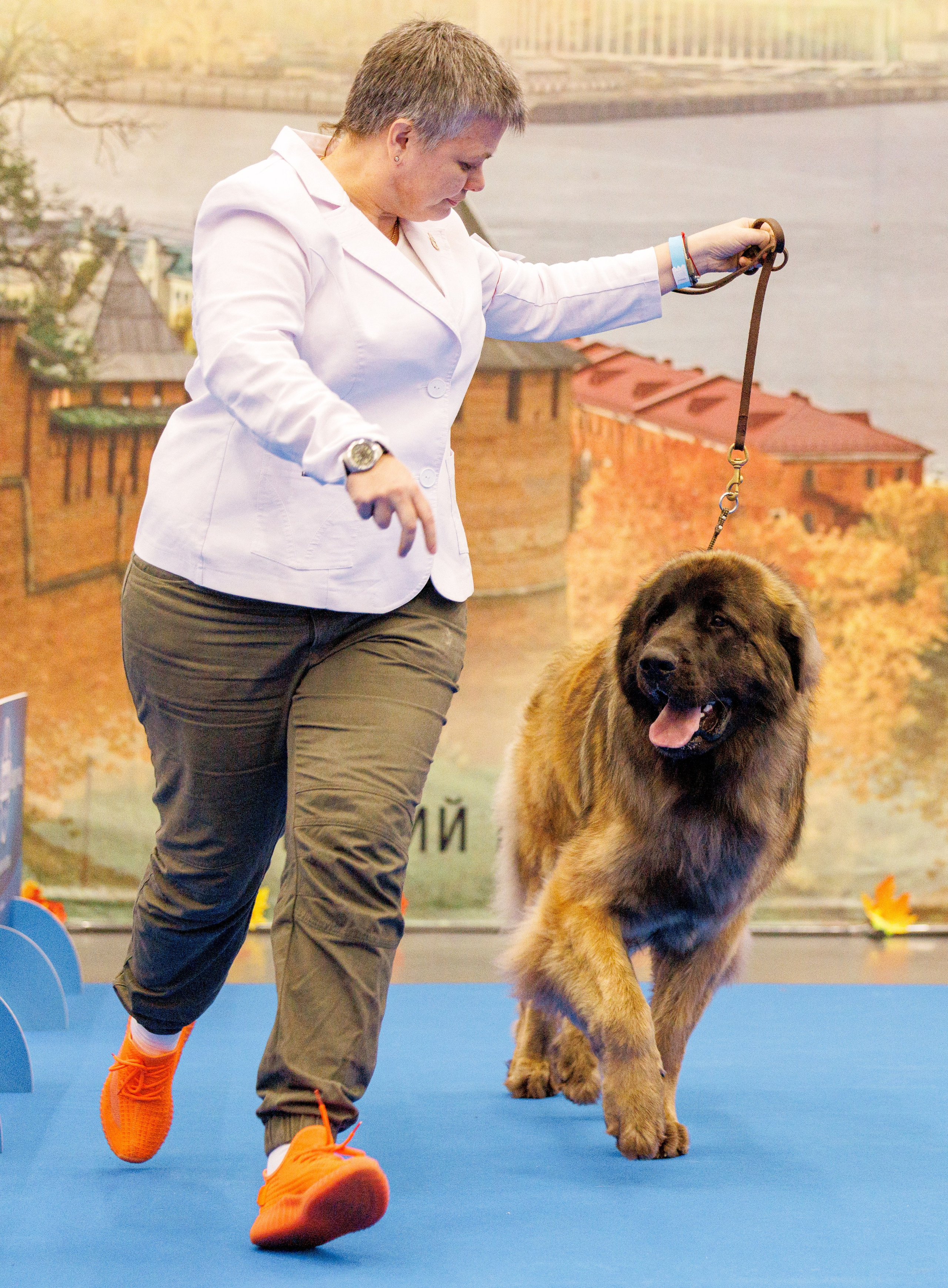 Нижний Новгород 21-22.10.2023. Фотограф-анималист Юлия Германика