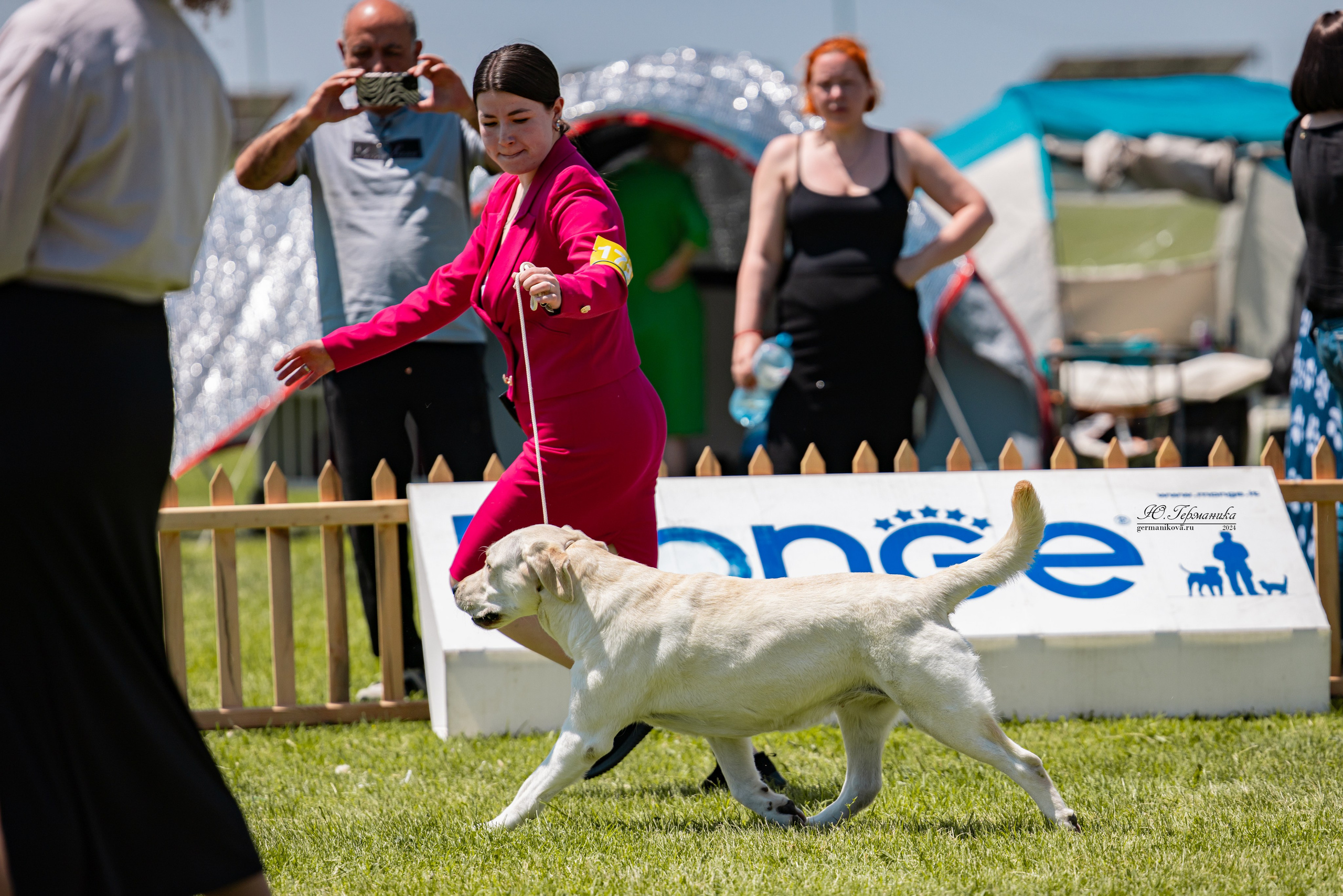 Ереван 3-5.06.2024. Фотограф-анималист Юлия Германика
