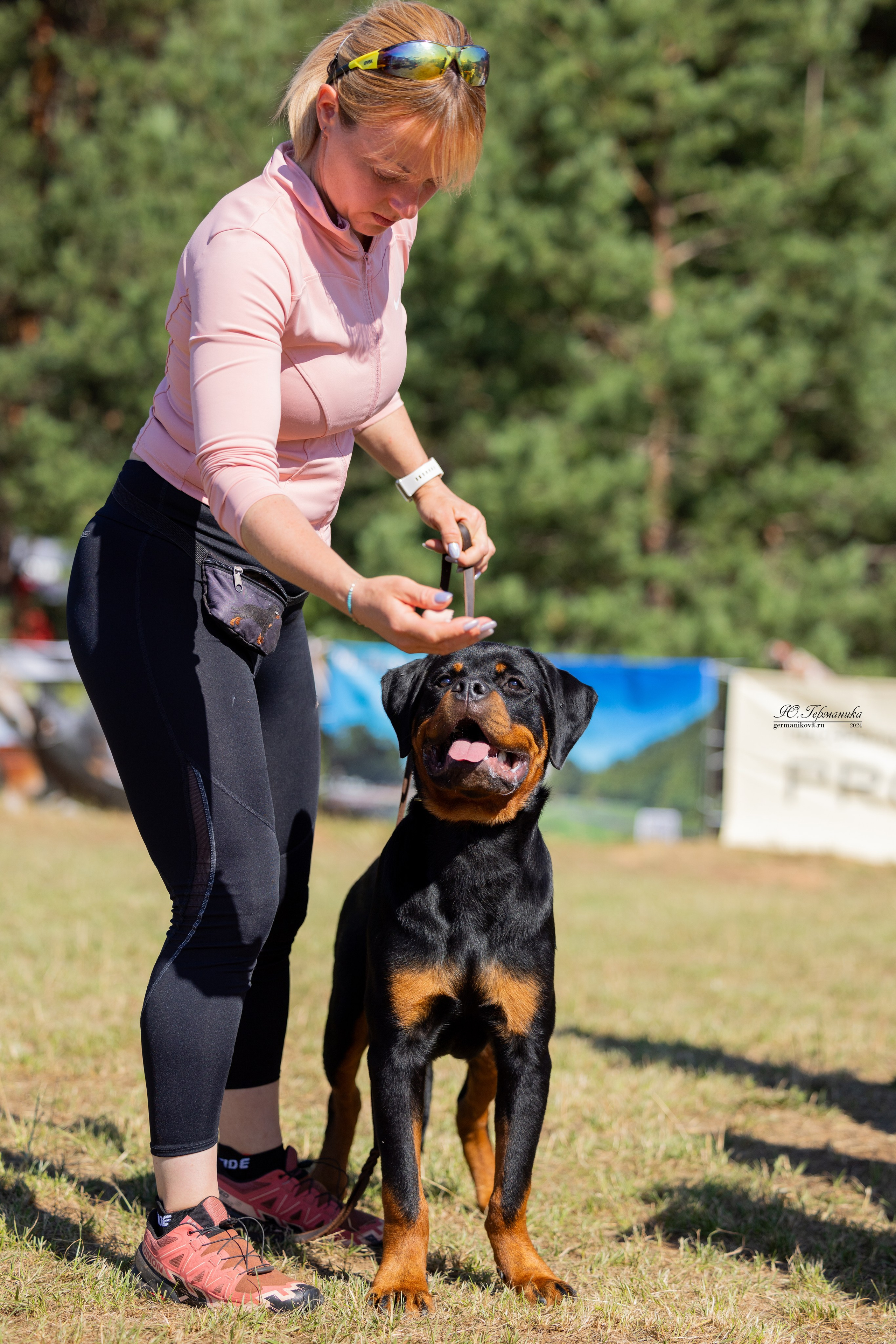 ПК и КЧК ротвейлеры Тверь 6-7.07.2024. Фотограф-анималист Юлия Германика