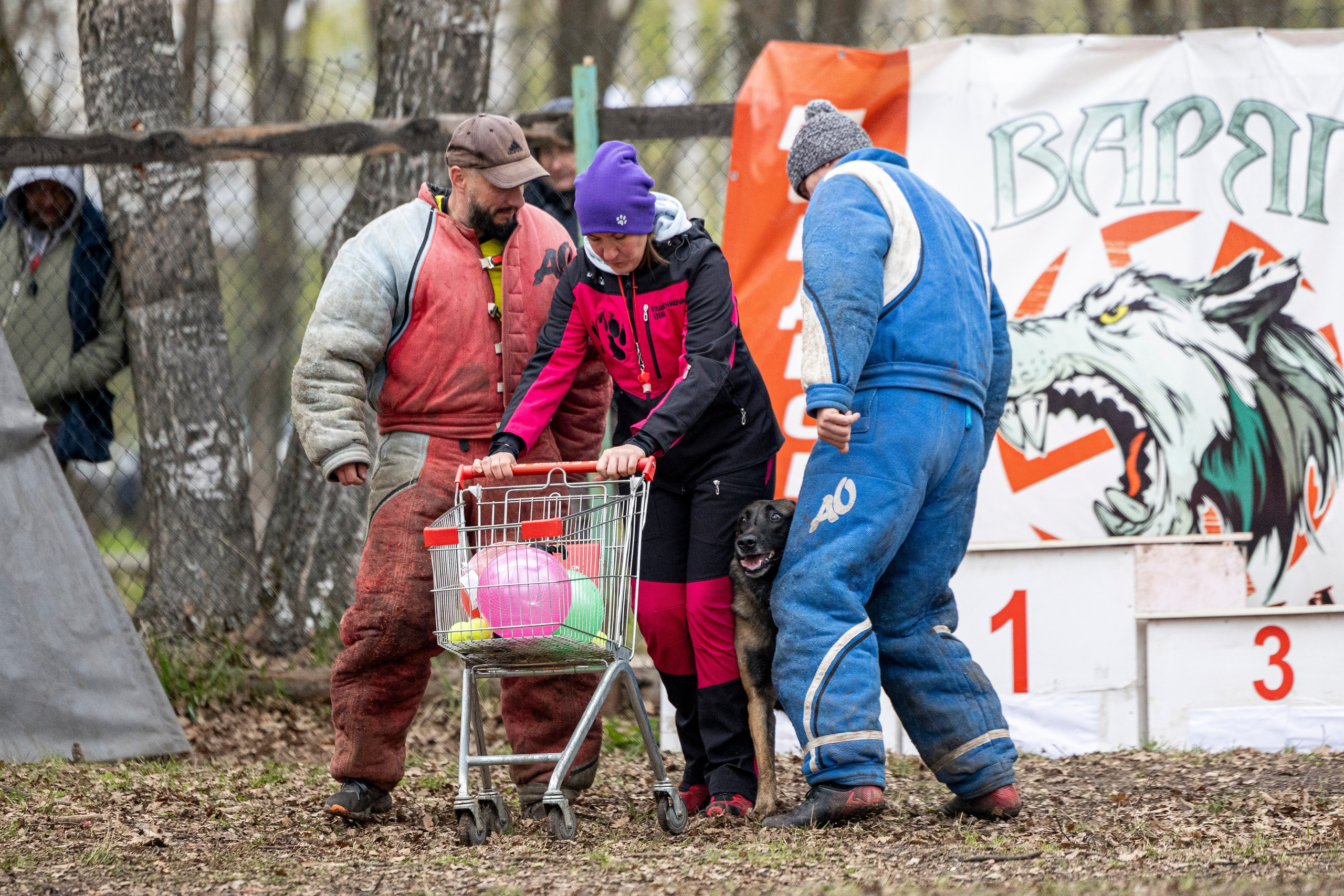 Квалификационные состязания по мондьорингу г. Вологда 11.05.24. Фотограф-анималист Анна Маринич