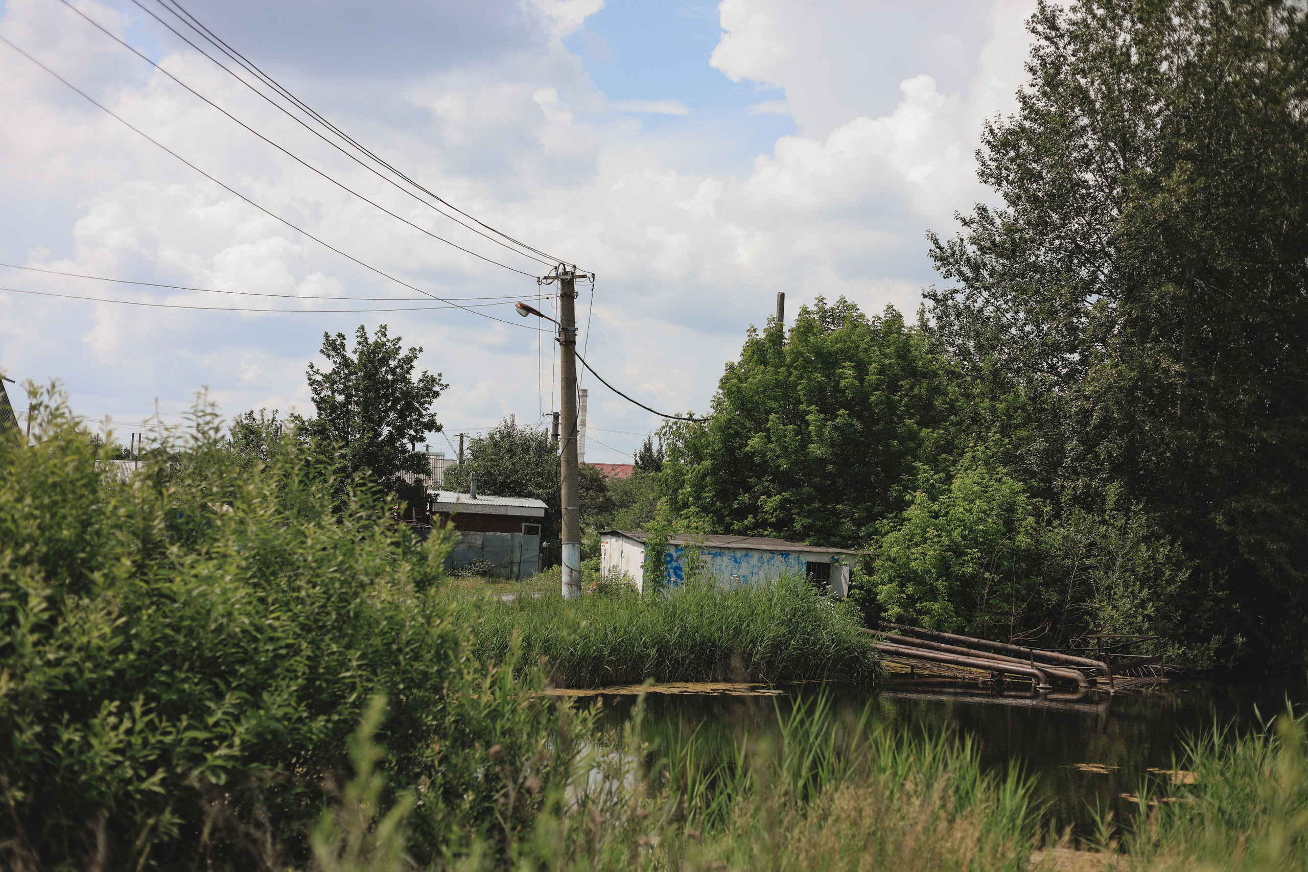 СТРИТ И ПРИРОДА. Репортажный фотограф Наталья Лапцевич