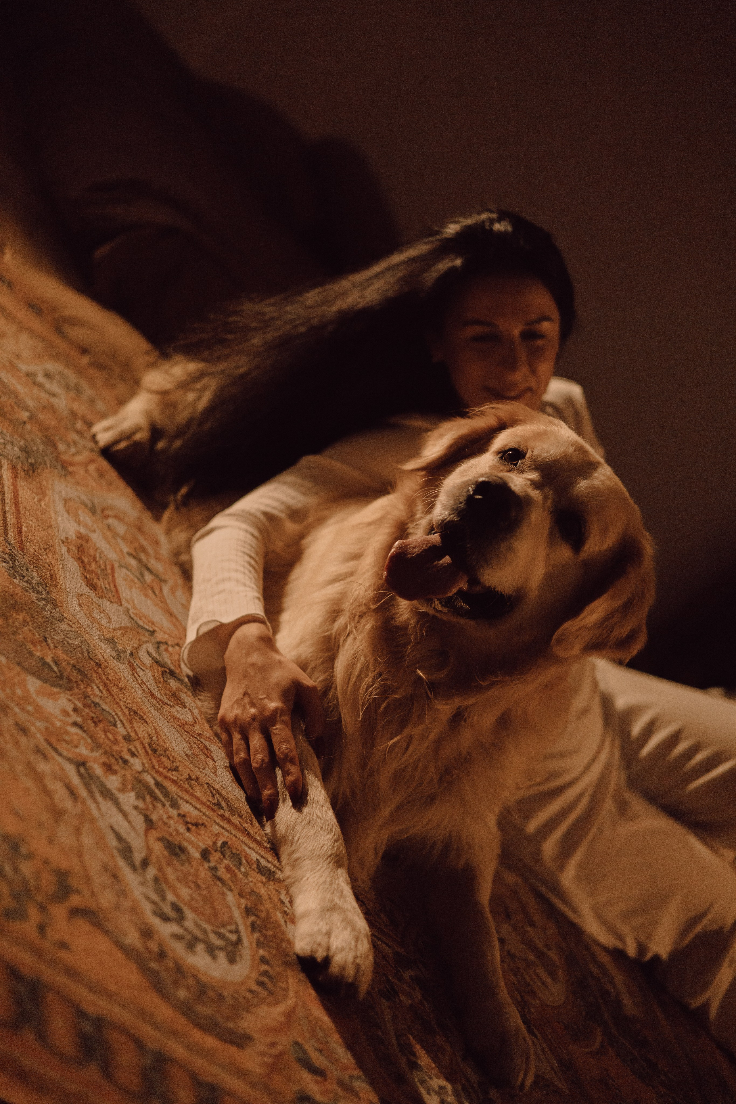 Лёва и его семья. Фотограф — анималист •love-story•|Санкт-Петербург