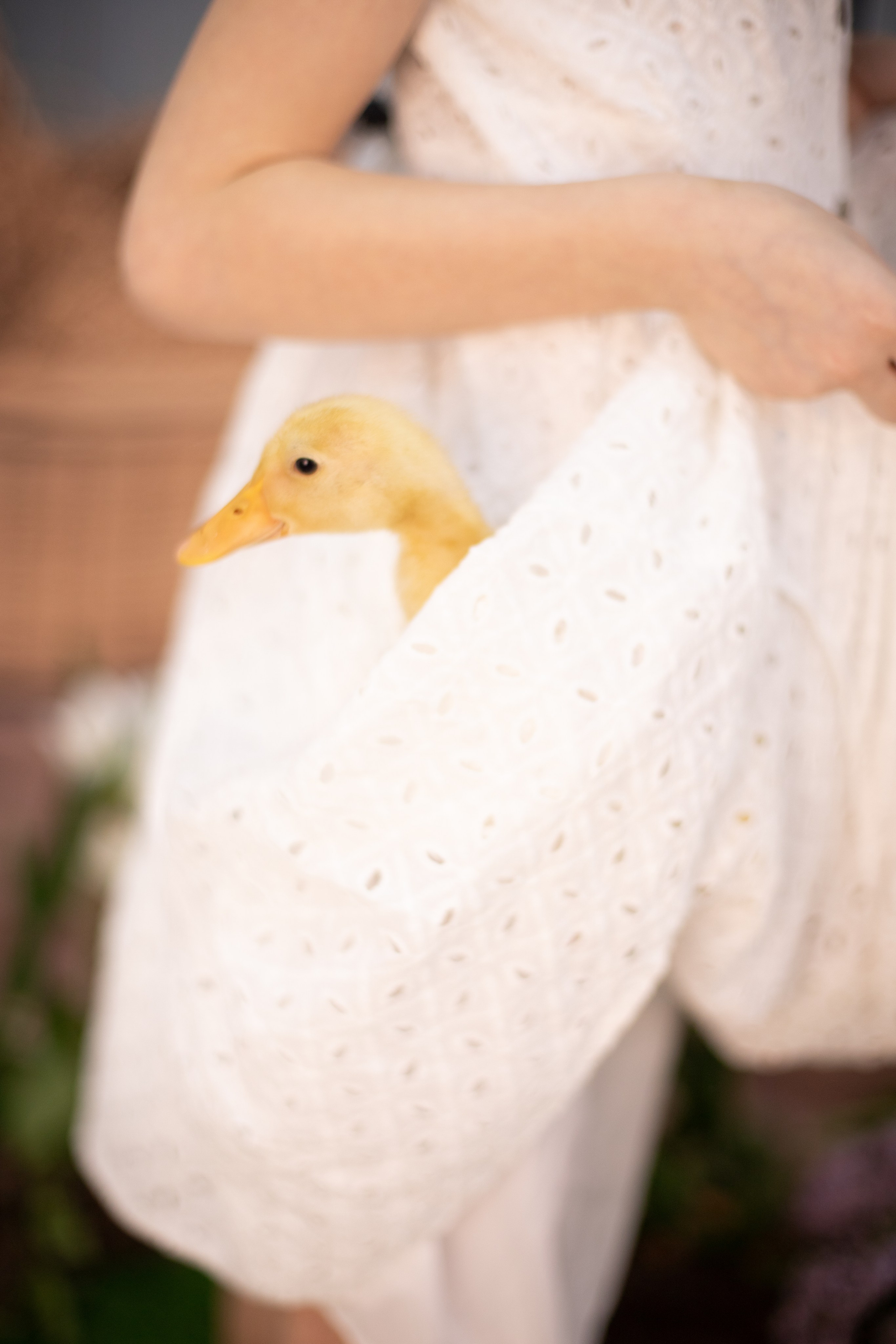 Пасха Утята. Лучший фотограф Краснодара (по версии моей мамы)