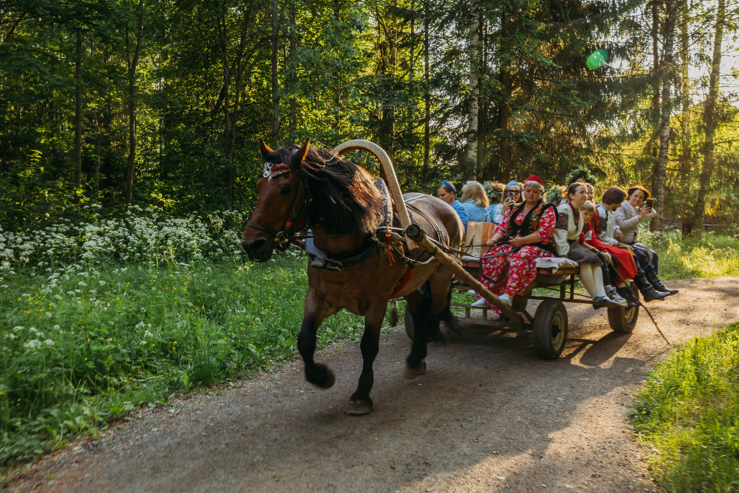Родные люди «Мандроги». Леся Гаранина. Семейный фотограф/видеограф Москва и область
