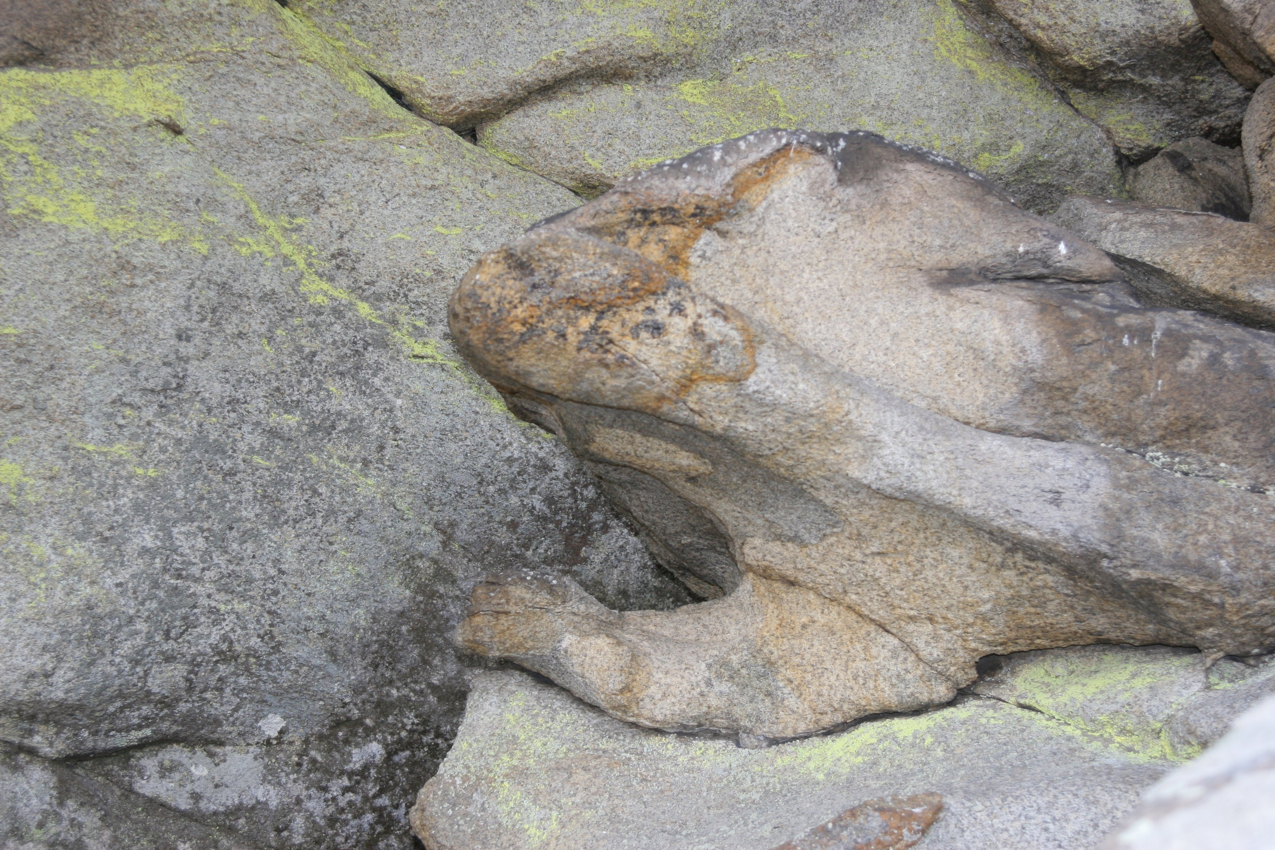 Фото Природы Забайкалья. Студия Максима Белослюдцева