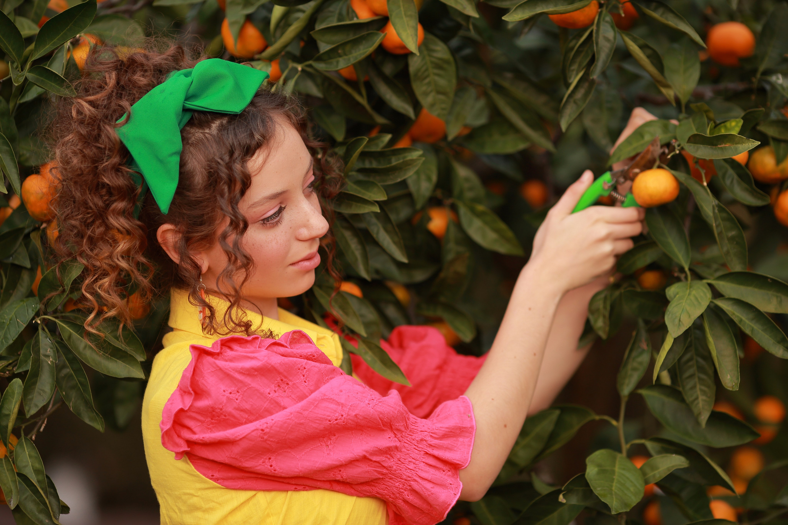 Абхазия. Мимоза. Ольга Котова