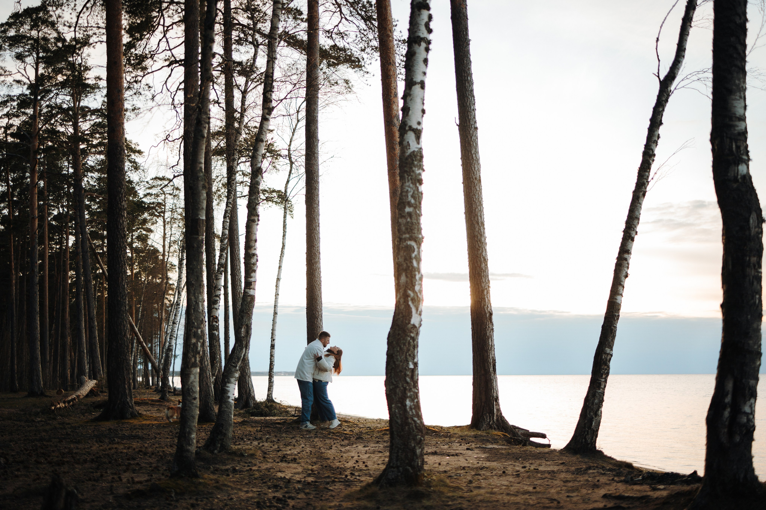 Найт и его семья. Фотограф — Анималист | Санкт-Петербург