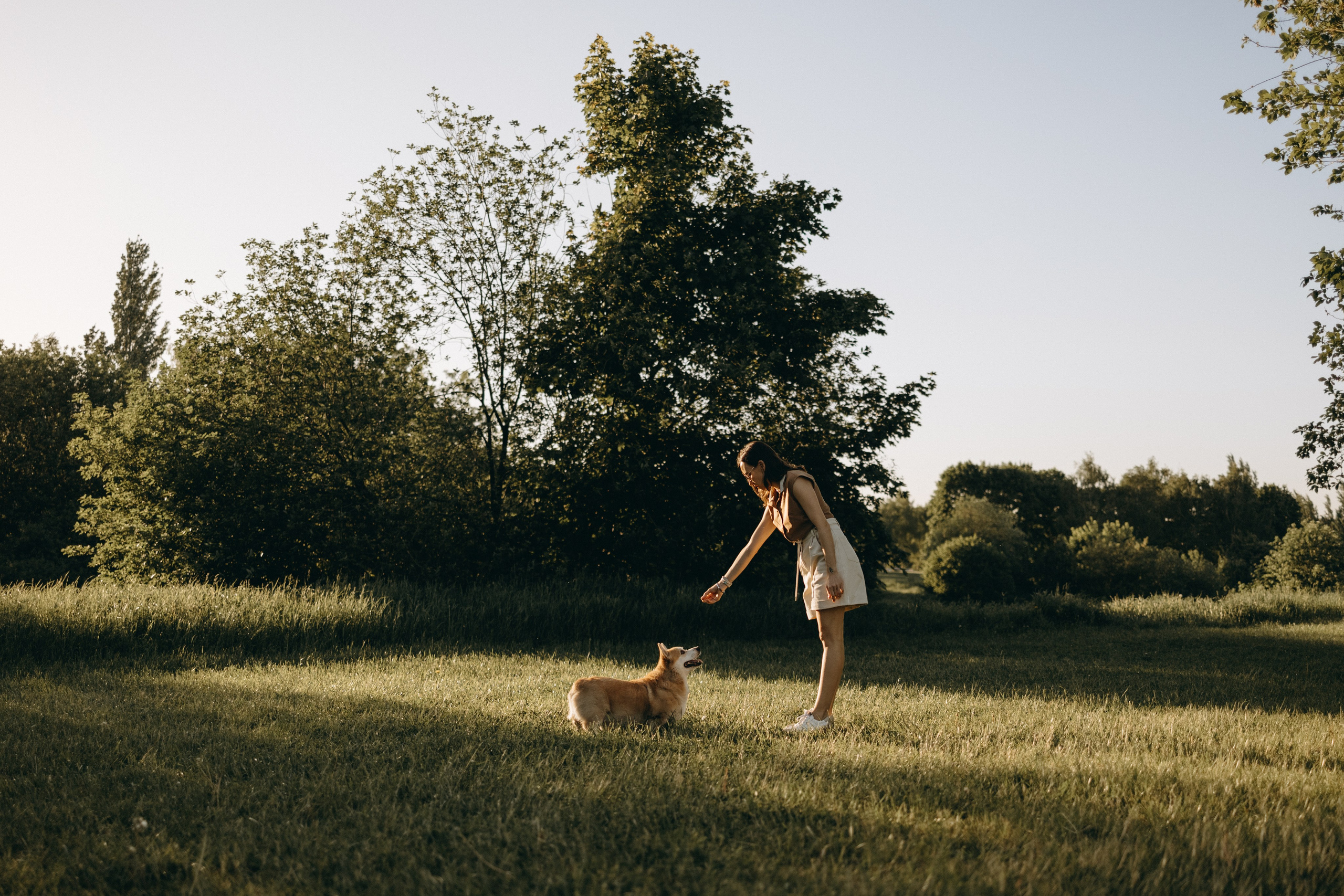 Кристина и Шелби. Фотограф — Анималист | Санкт-Петербург