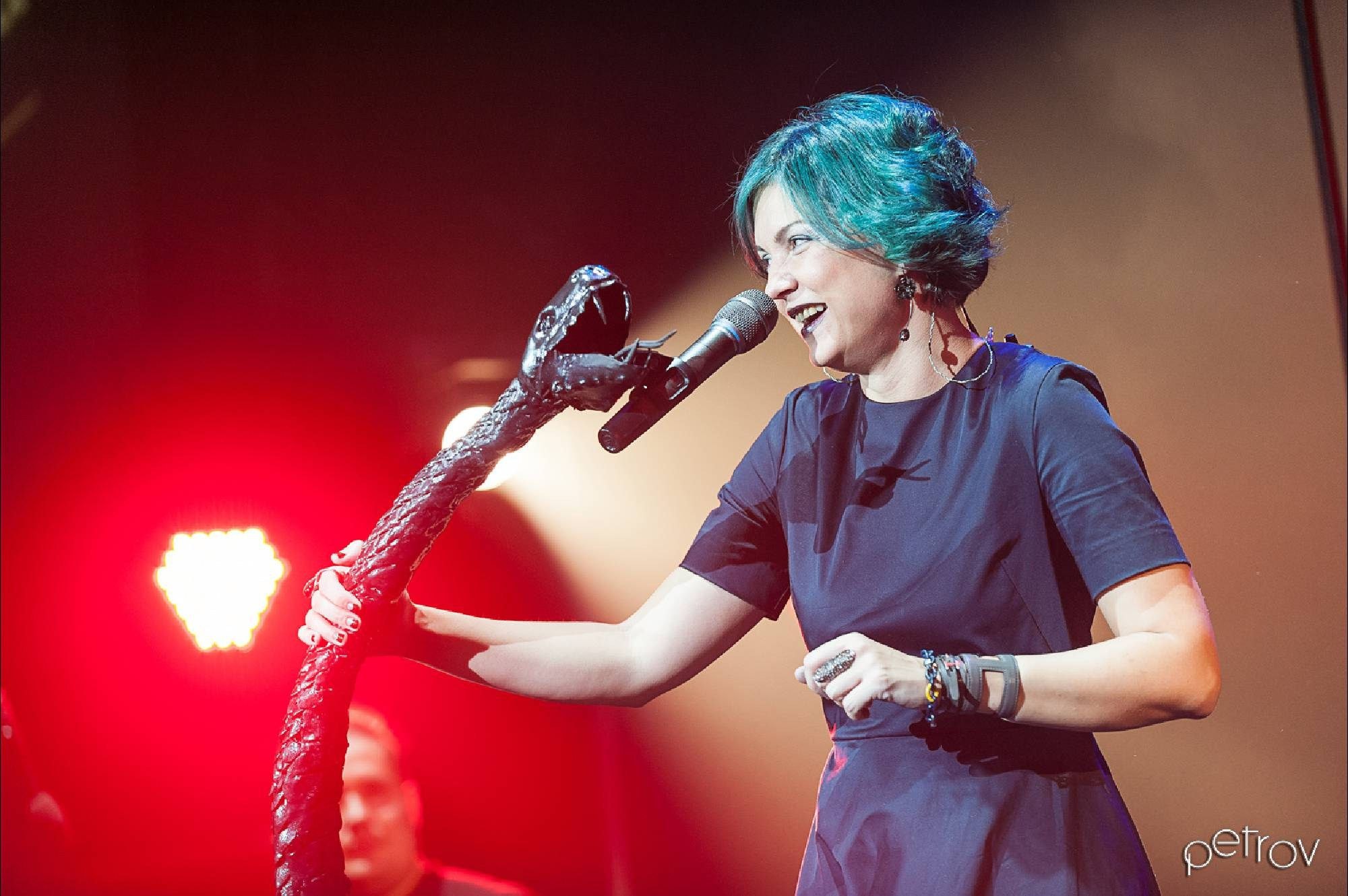 Концерт. Фотограф Дмитрий Петров