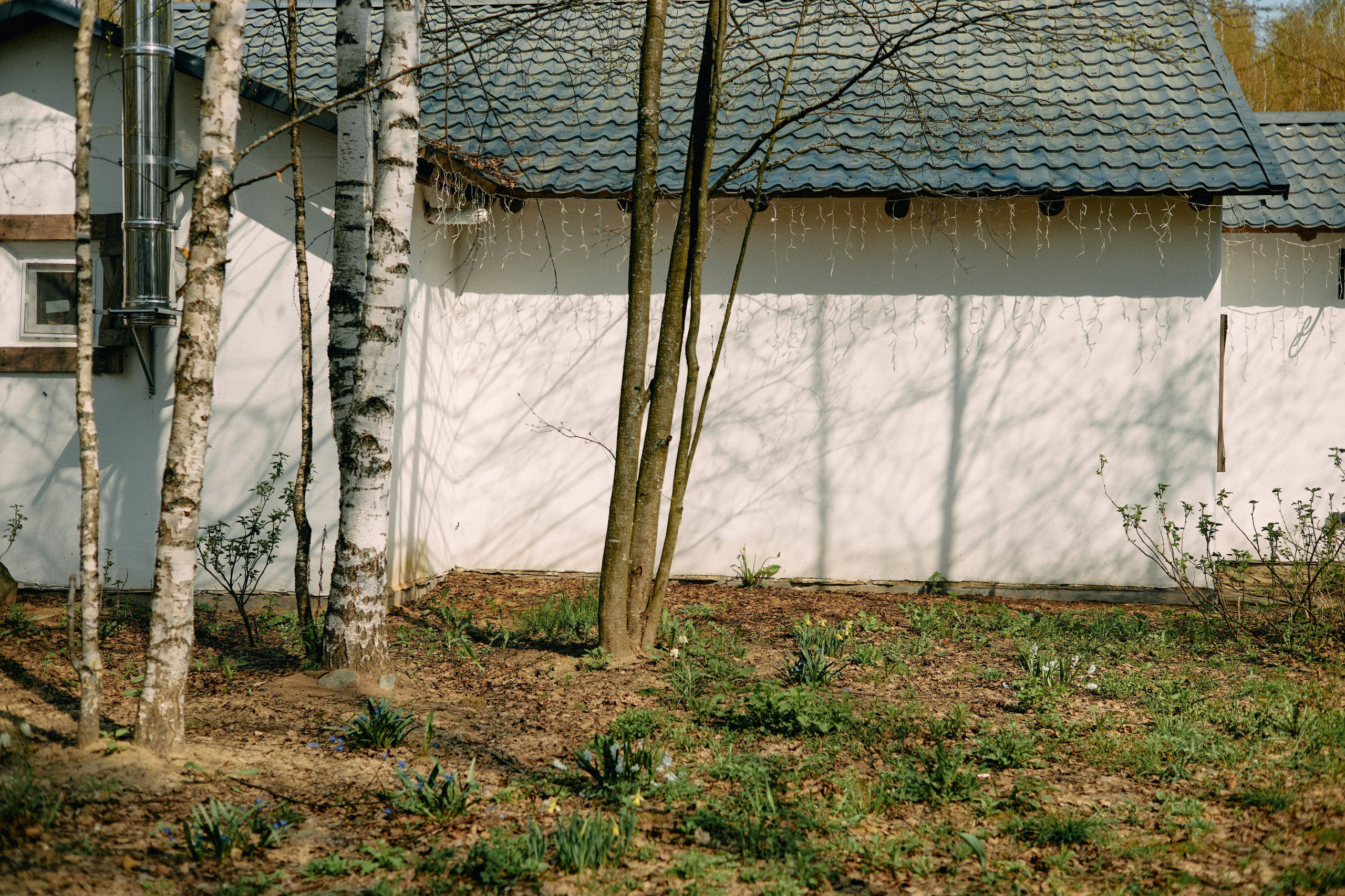 Бутик-отель Поле летом. Профессиональный Фотограф во Владимире, в Москве и в Суздале — Полина Романычева