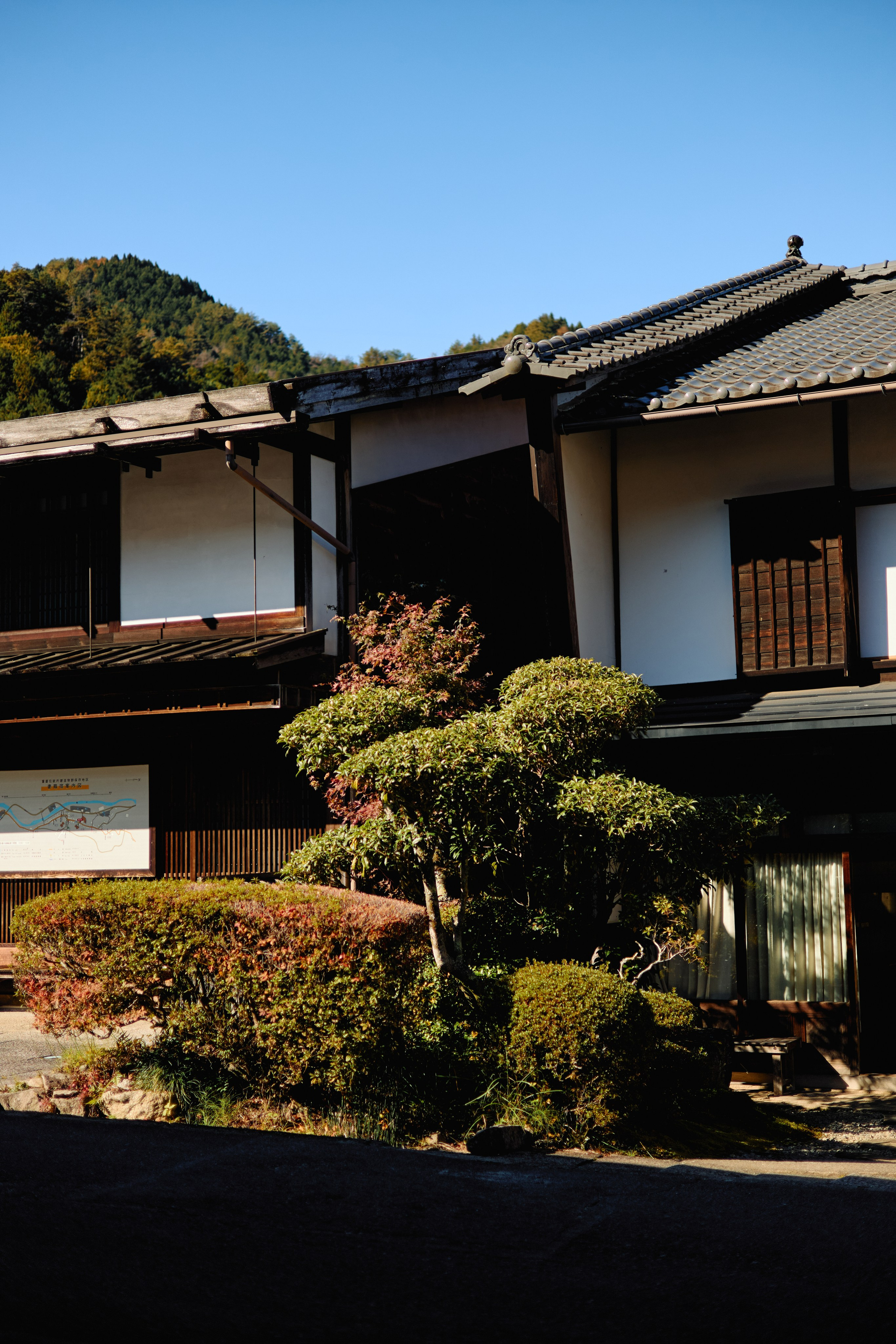 Япония. Профессиональный Фотограф во Владимире, в Москве и в Суздале — Полина Романычева