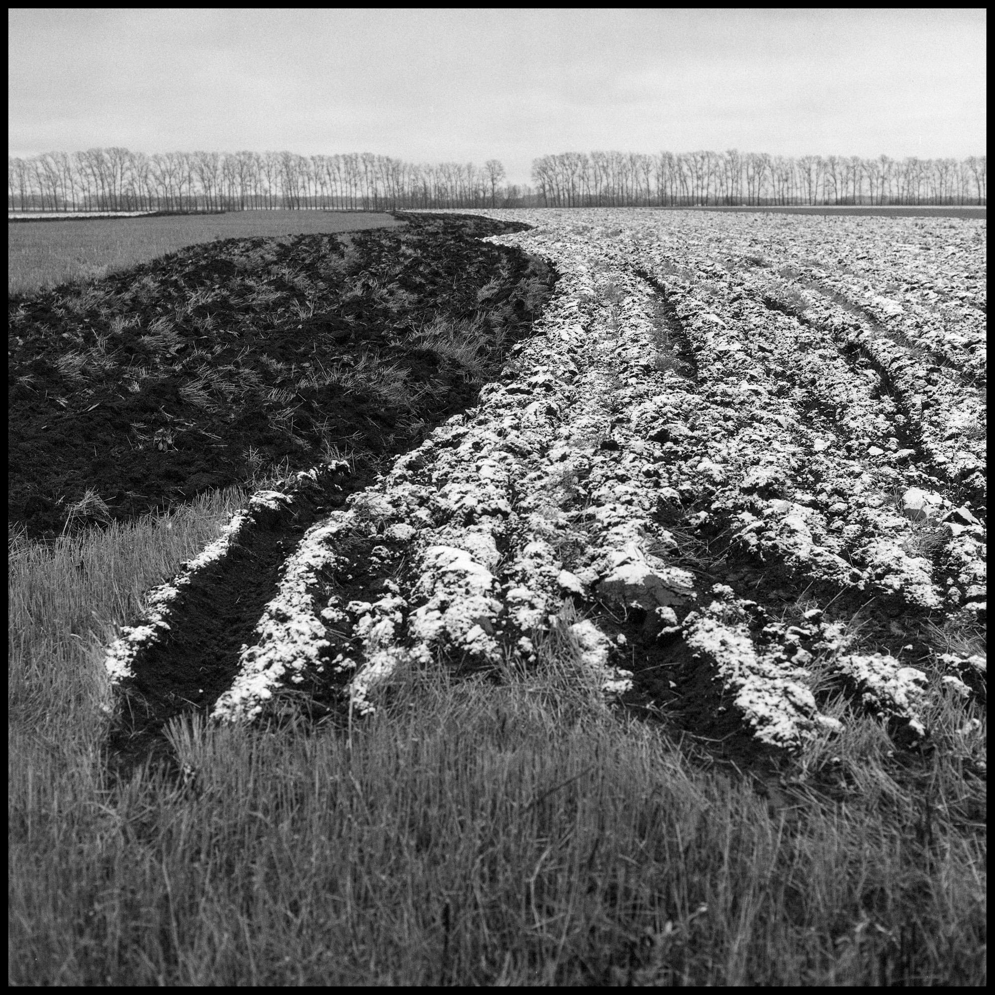 Squares/Квадраты. Документальный фотограф Алексей Мякишев, Москва