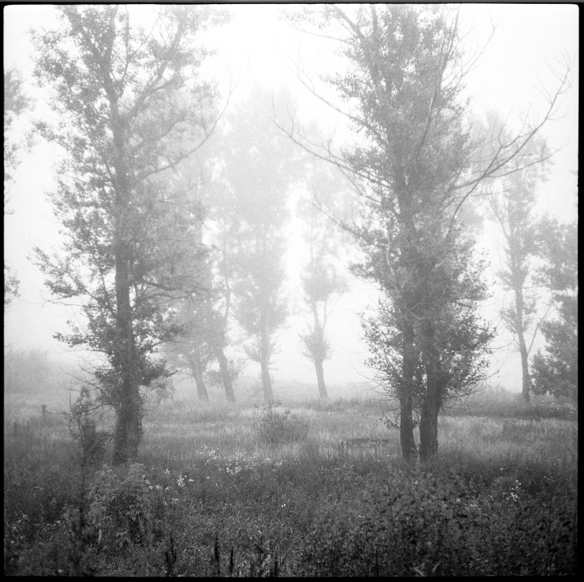 Squares/Квадраты. Документальный фотограф Алексей Мякишев, Москва