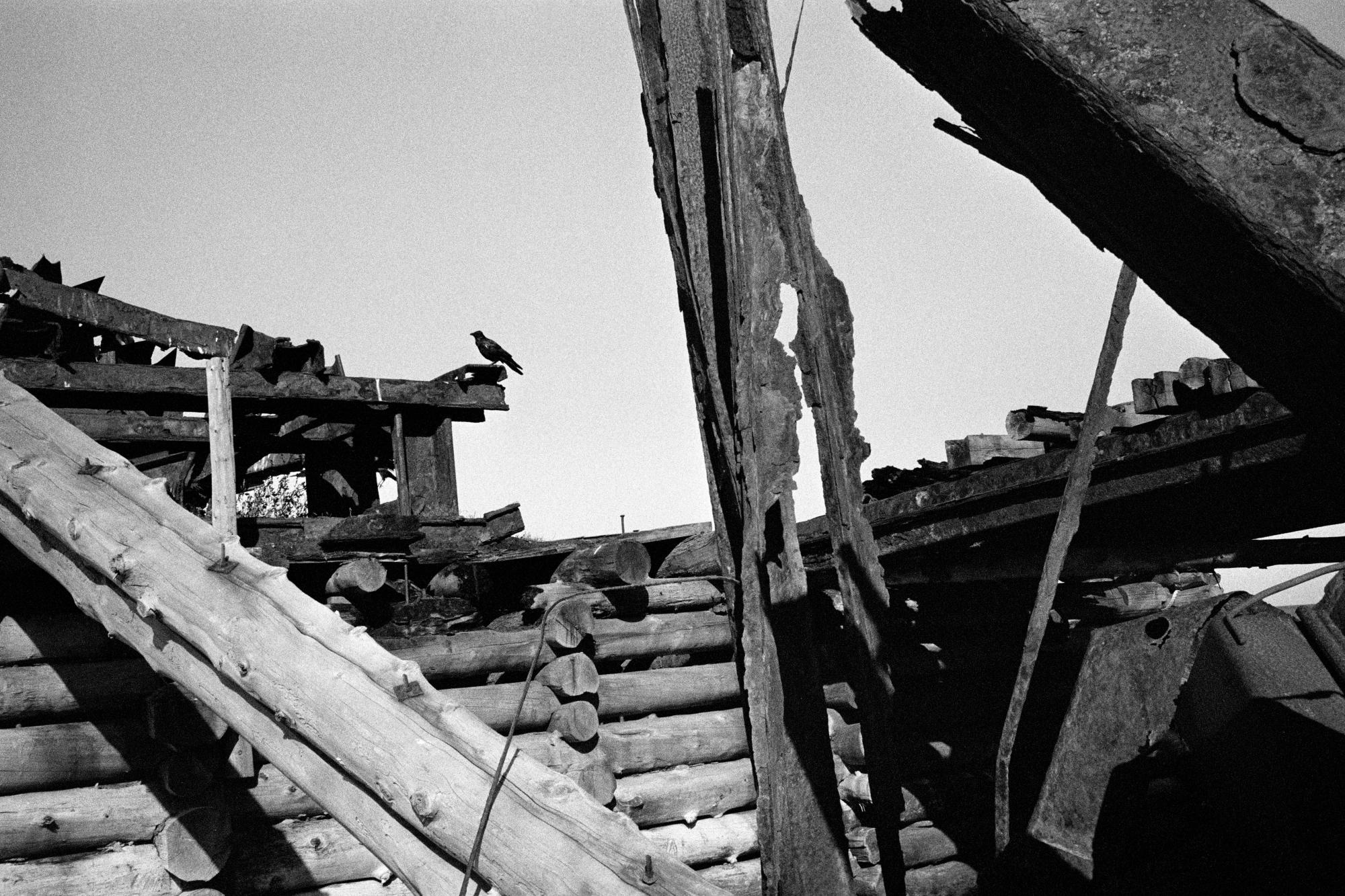 Sakhalin/Сахалин. Документальный фотограф Алексей Мякишев, Москва