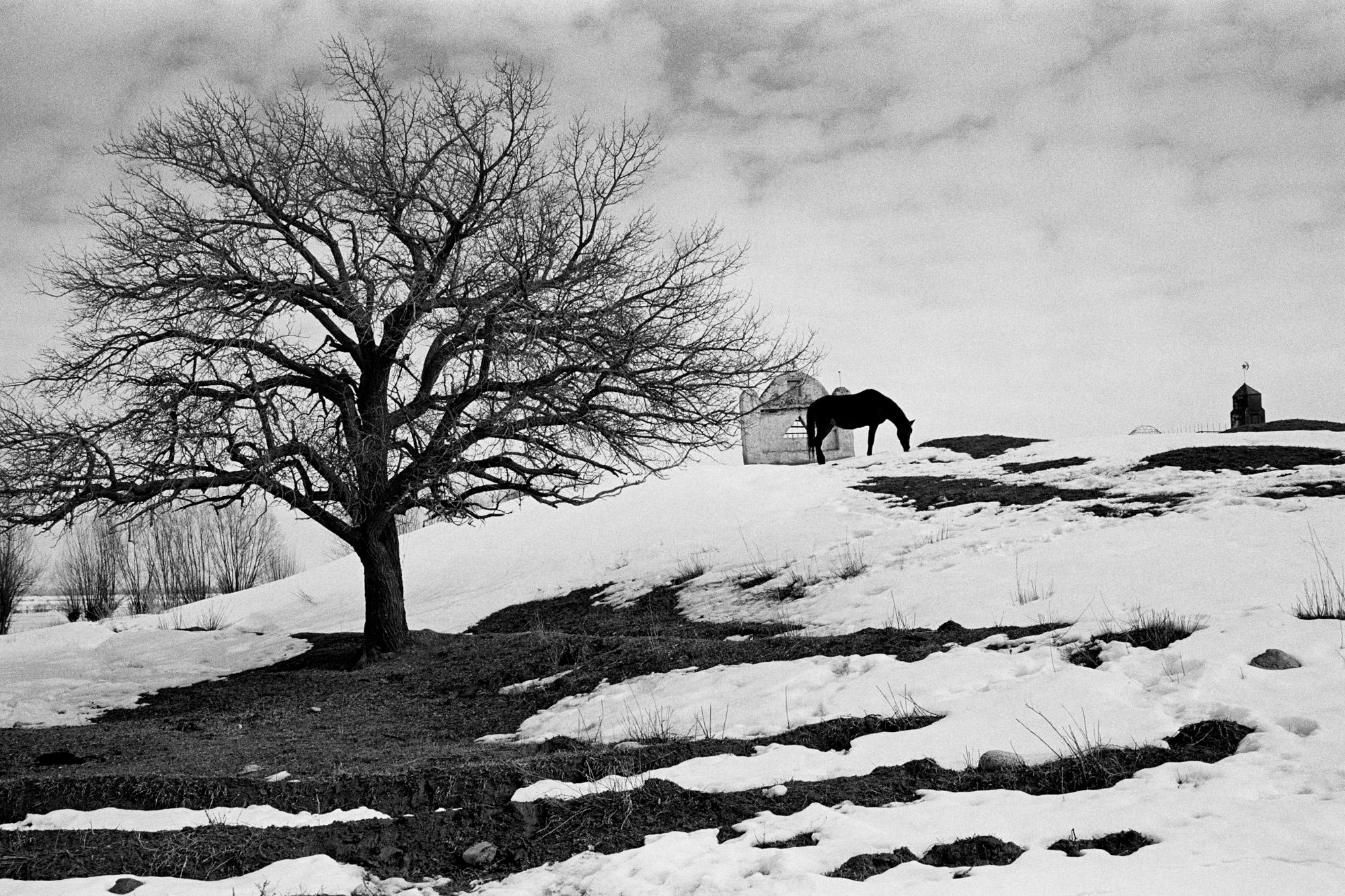 Kyrgyzstan/Киргизия. Документальный фотограф Алексей Мякишев, Москва