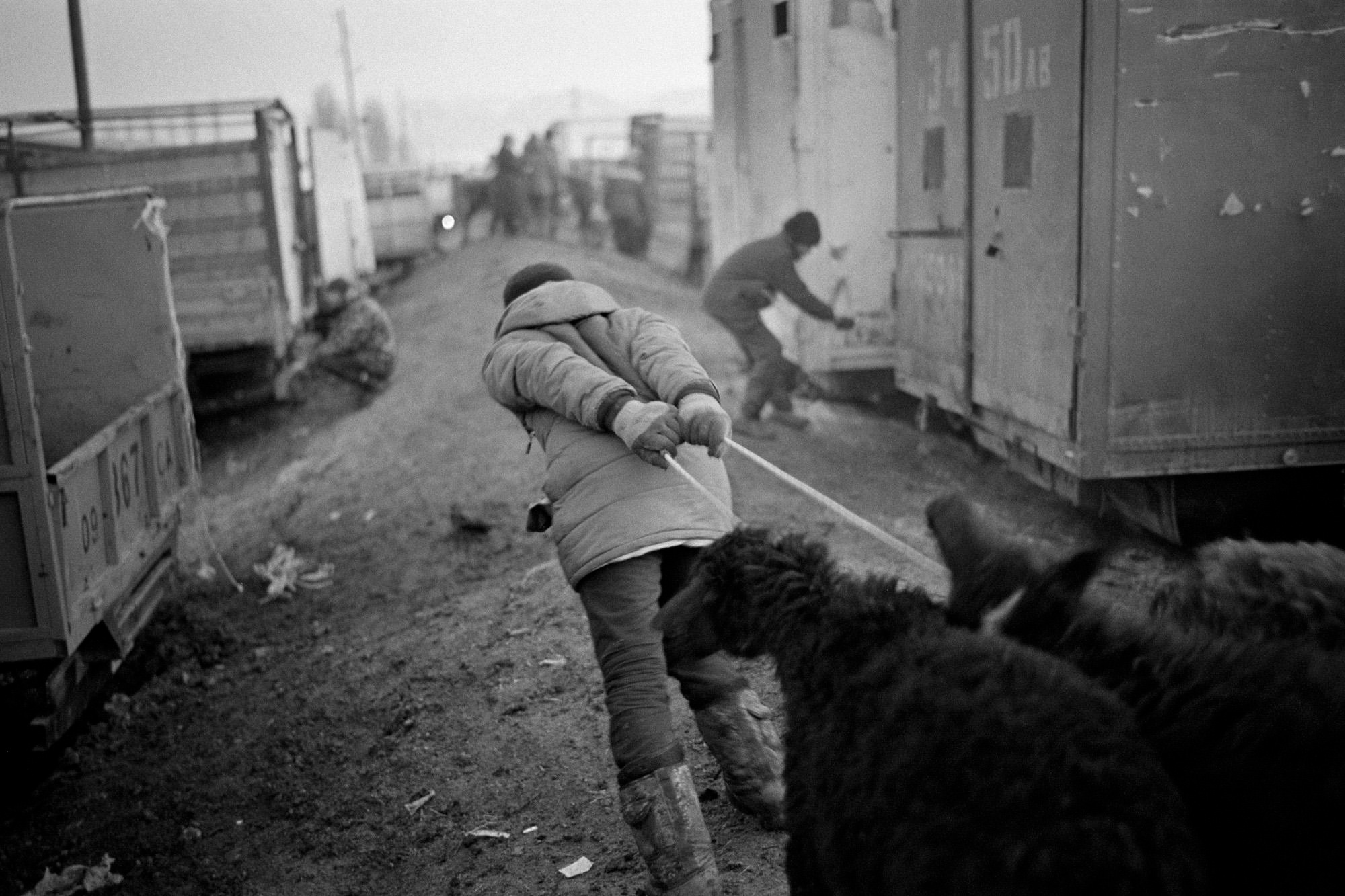 Kyrgyzstan/Киргизия. Документальный фотограф Алексей Мякишев, Москва