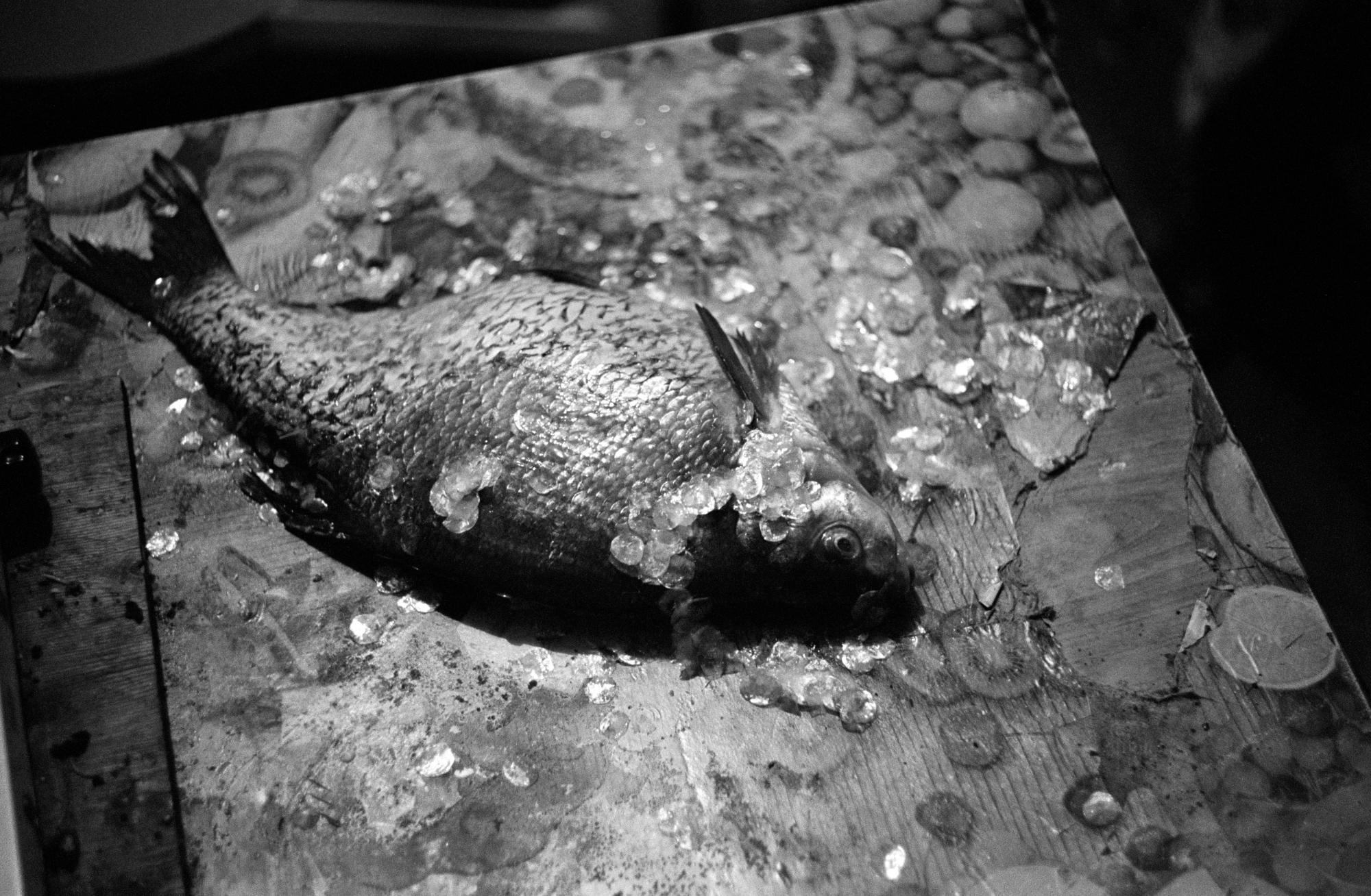 Документальный фотограф Алексей Мякишев, Москва