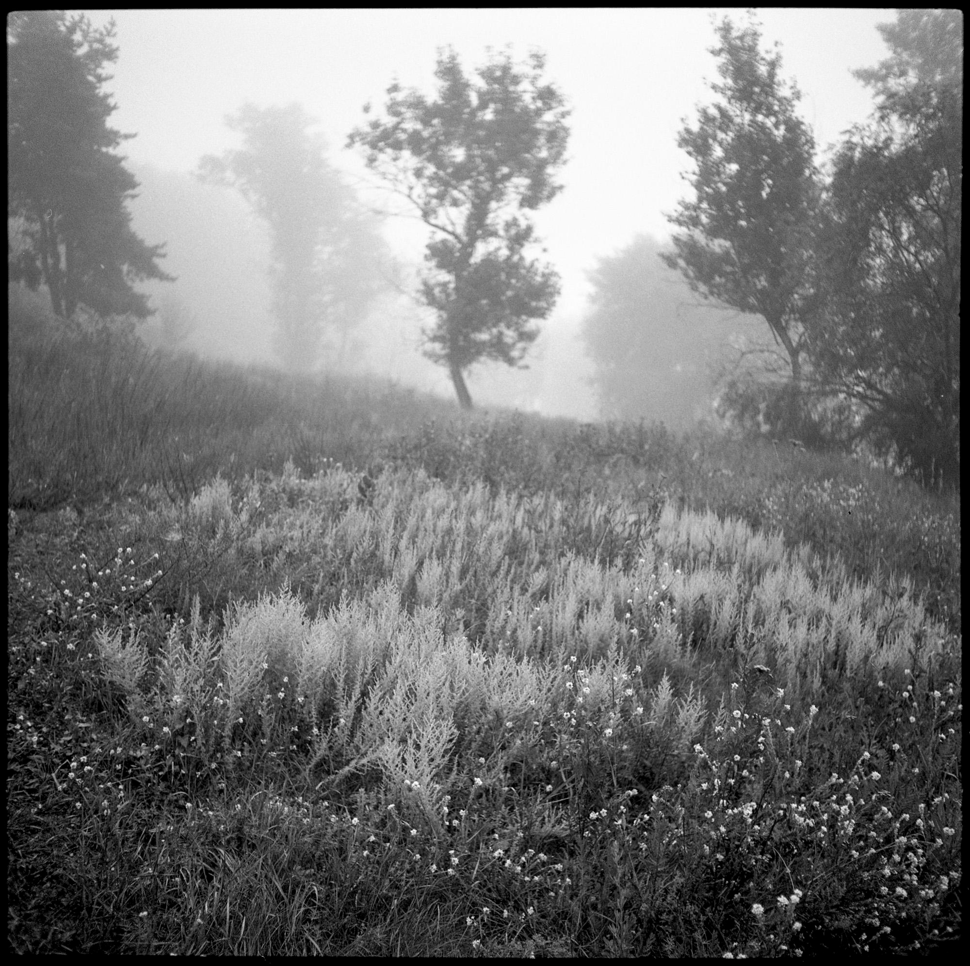 Squares/Квадраты. Документальный фотограф Алексей Мякишев, Москва