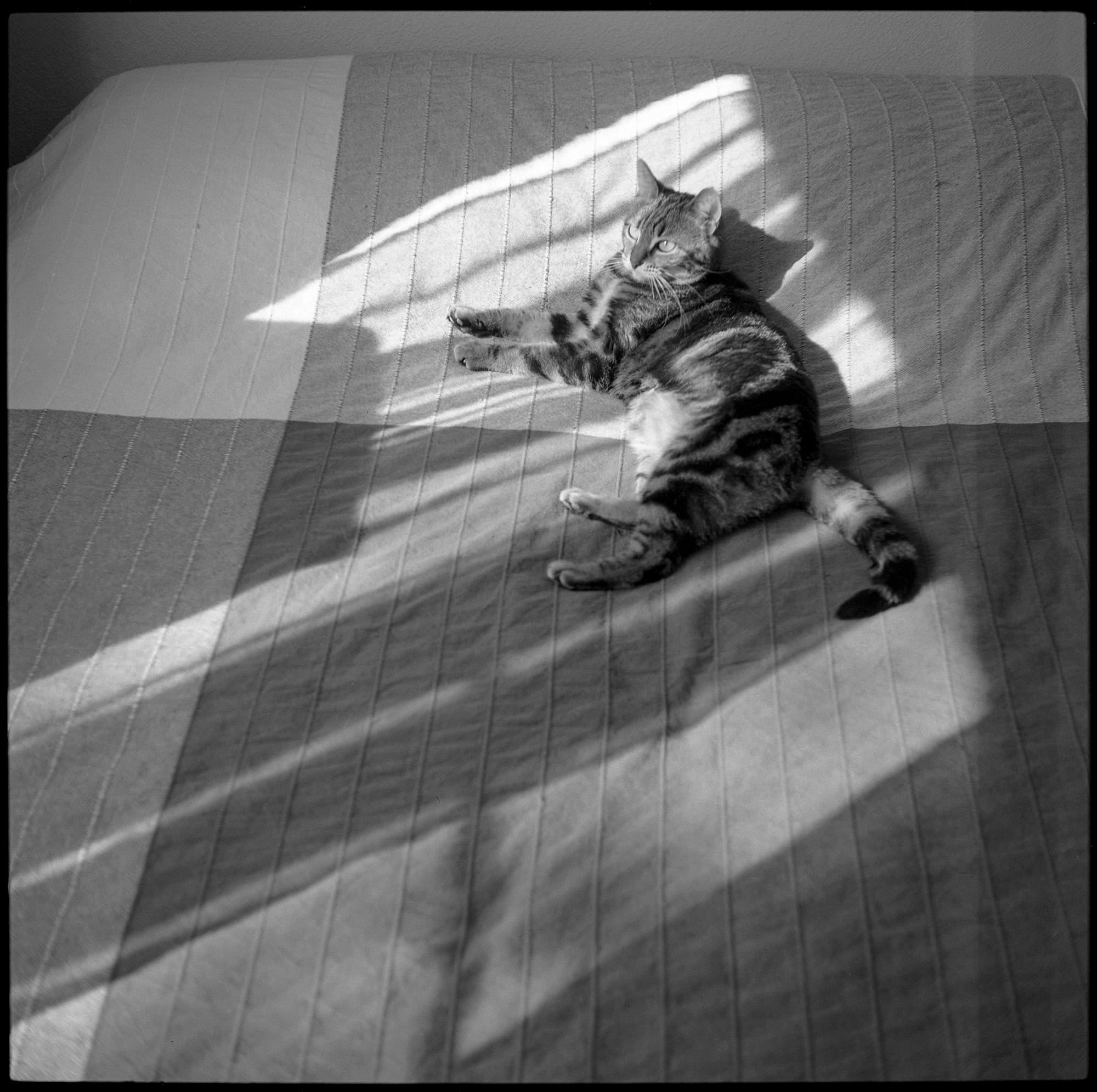 Squares/Квадраты. Документальный фотограф Алексей Мякишев, Москва