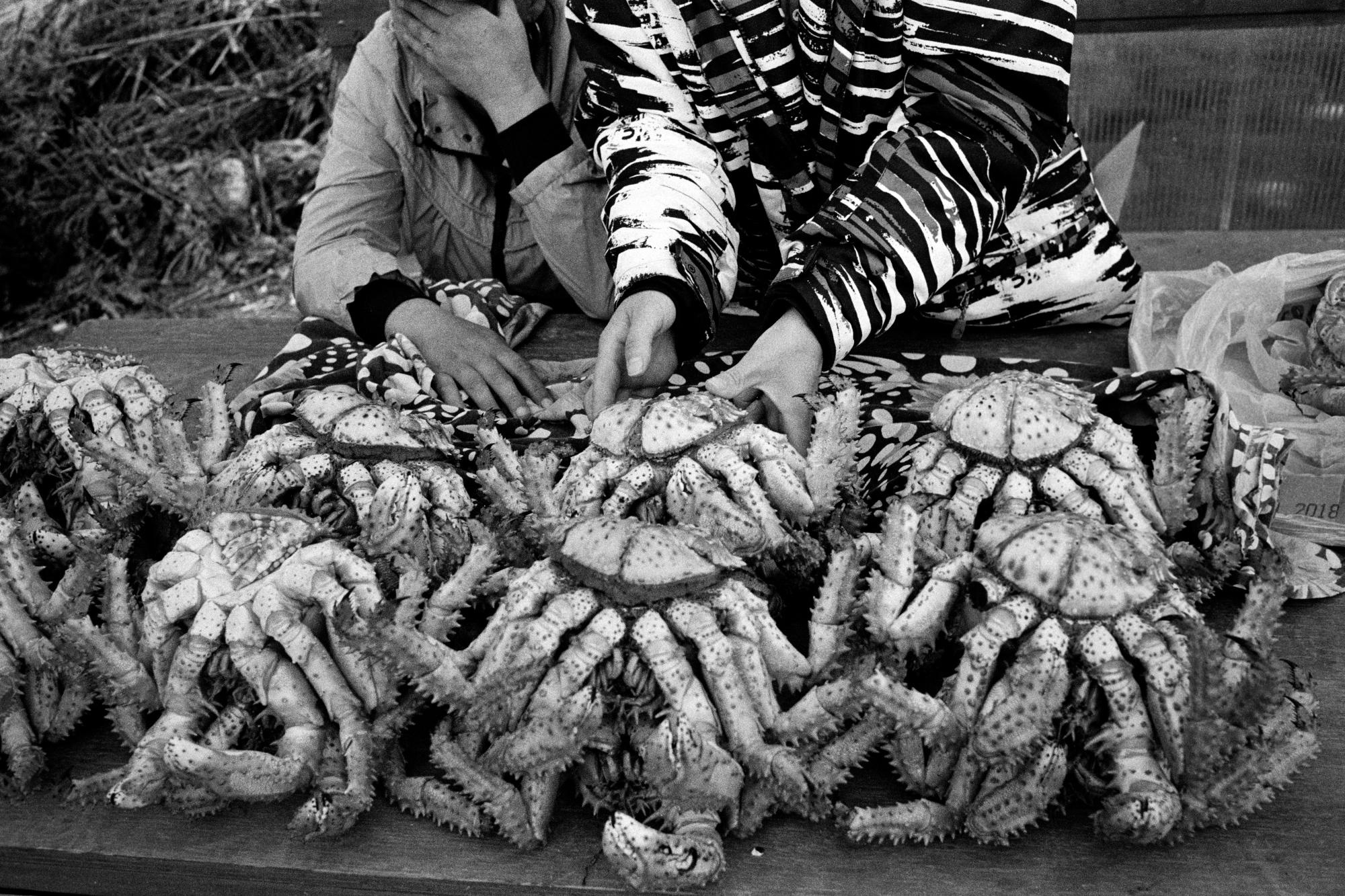 Sakhalin/Сахалин. Документальный фотограф Алексей Мякишев, Москва