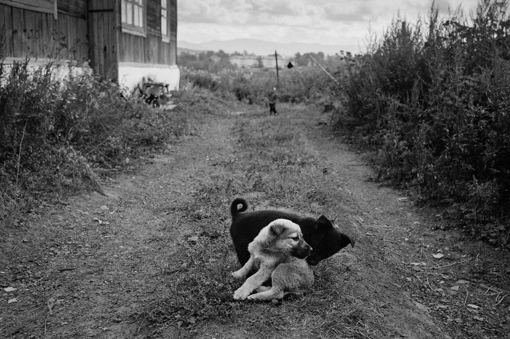 Sakhalin/Сахалин. Документальный фотограф Алексей Мякишев, Москва