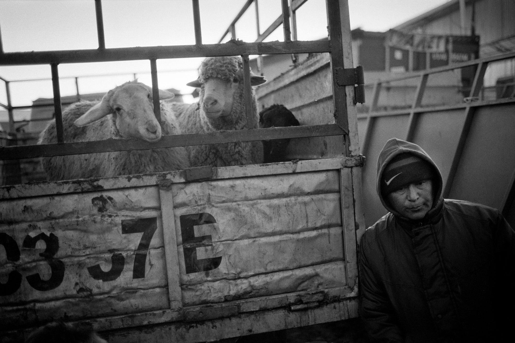 Kyrgyzstan/Киргизия. Документальный фотограф Алексей Мякишев, Москва