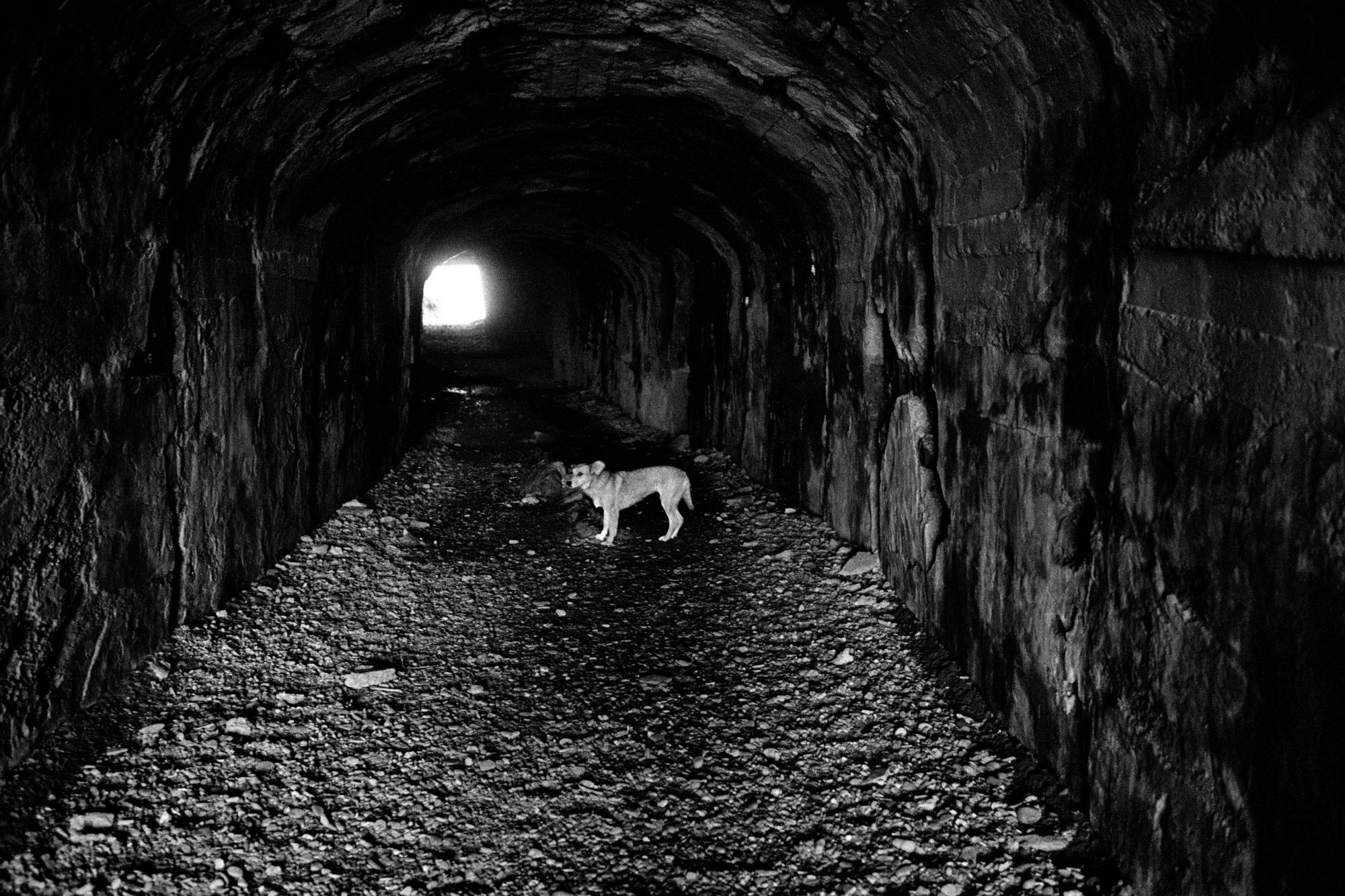 Sakhalin/Сахалин. Документальный фотограф Алексей Мякишев, Москва