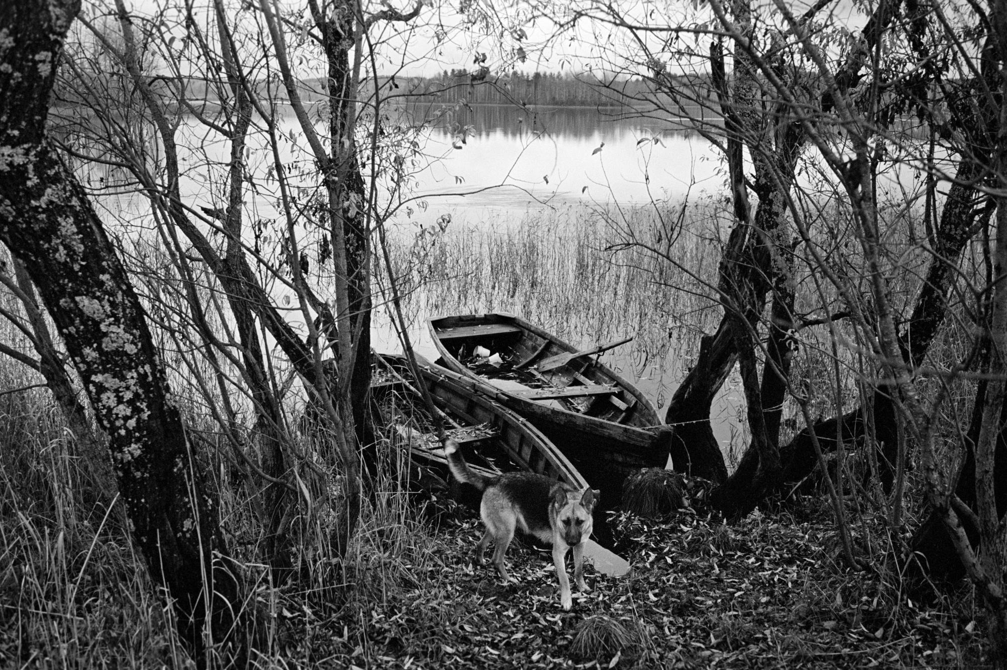Документальный фотограф Алексей Мякишев, Москва