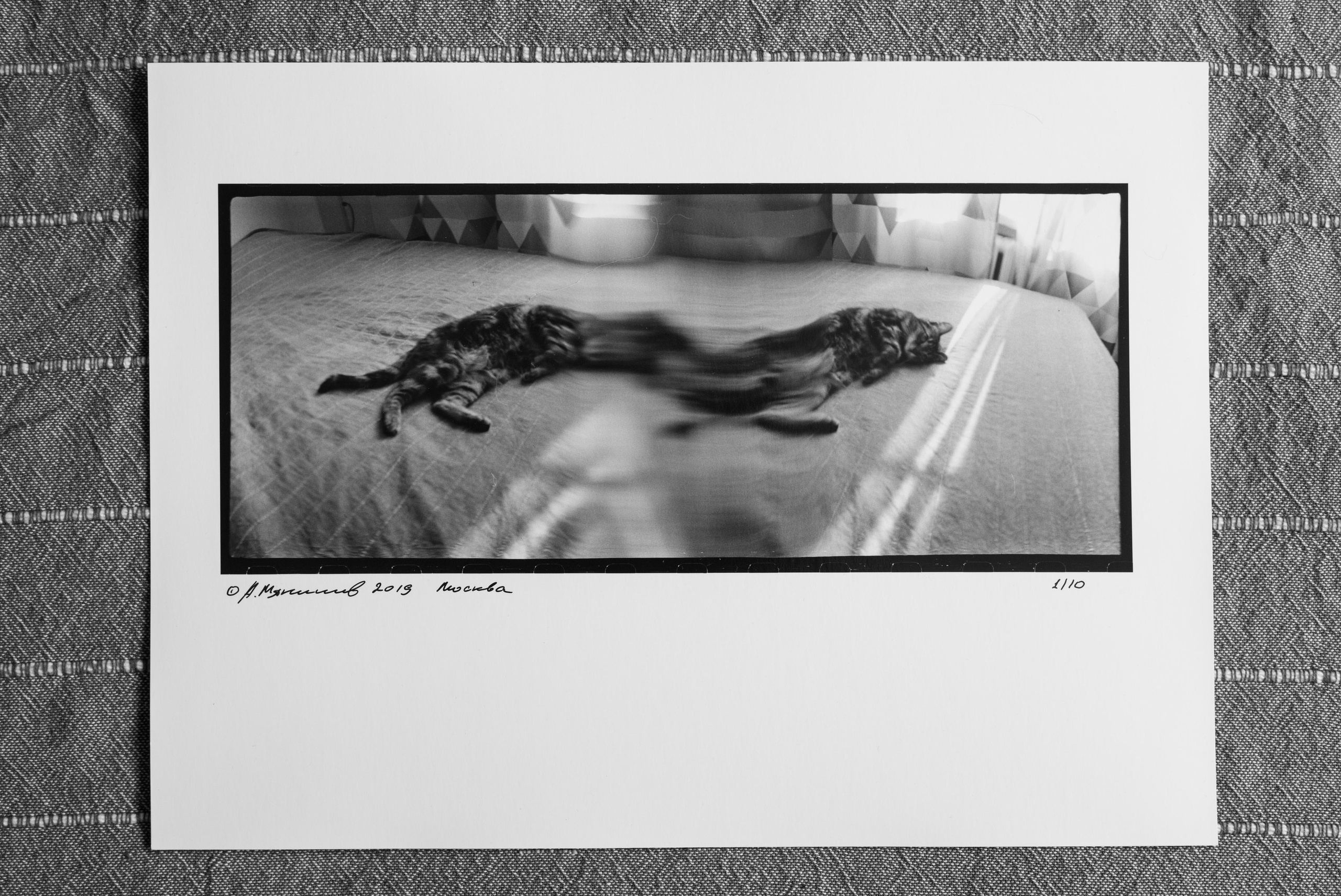 Horizontal/Горизонтали. Документальный фотограф Алексей Мякишев, Москва