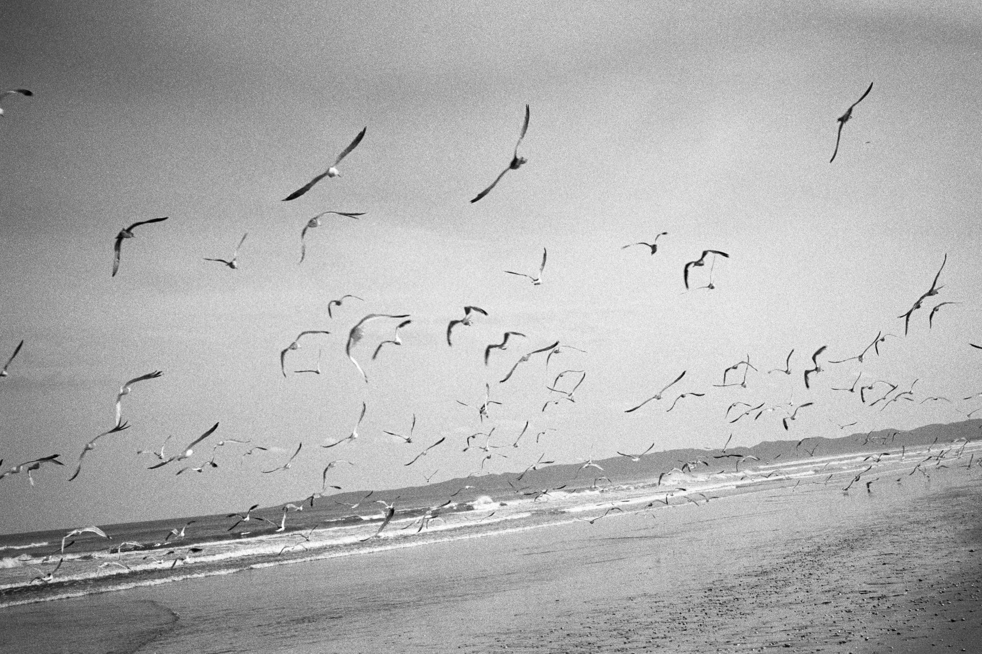 Sakhalin/Сахалин. Документальный фотограф Алексей Мякишев, Москва
