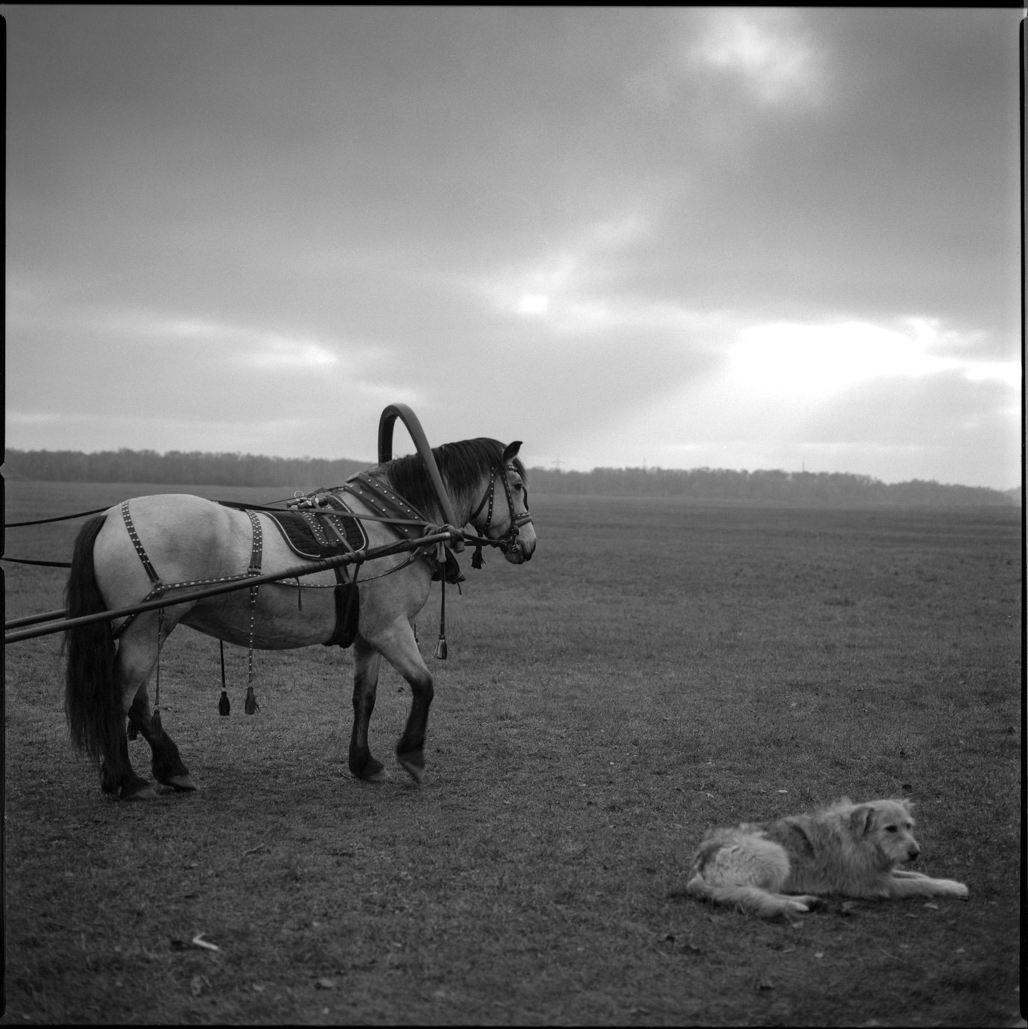 Squares/Квадраты. Документальный фотограф Алексей Мякишев, Москва