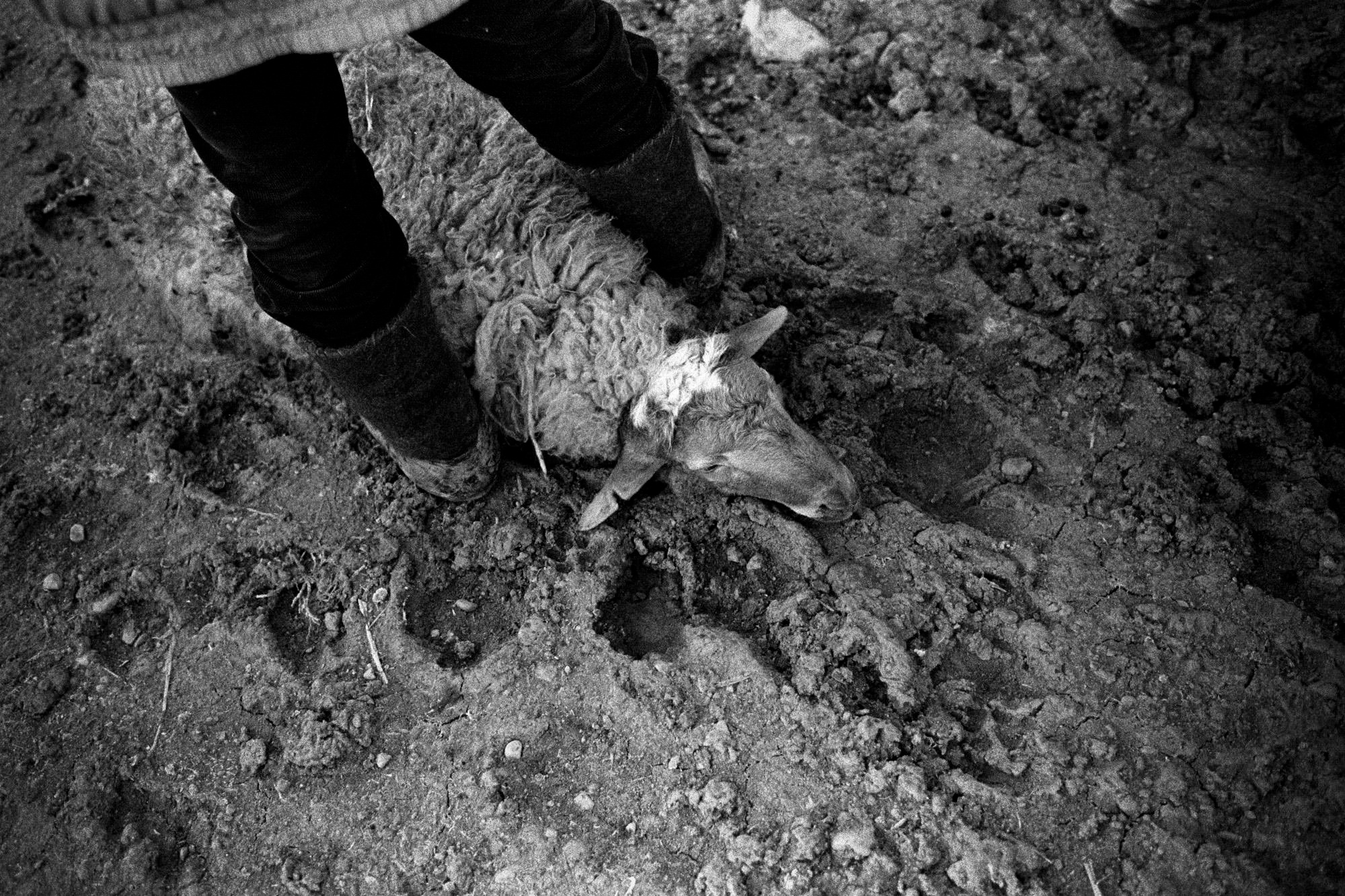 Kyrgyzstan/Киргизия. Документальный фотограф Алексей Мякишев, Москва