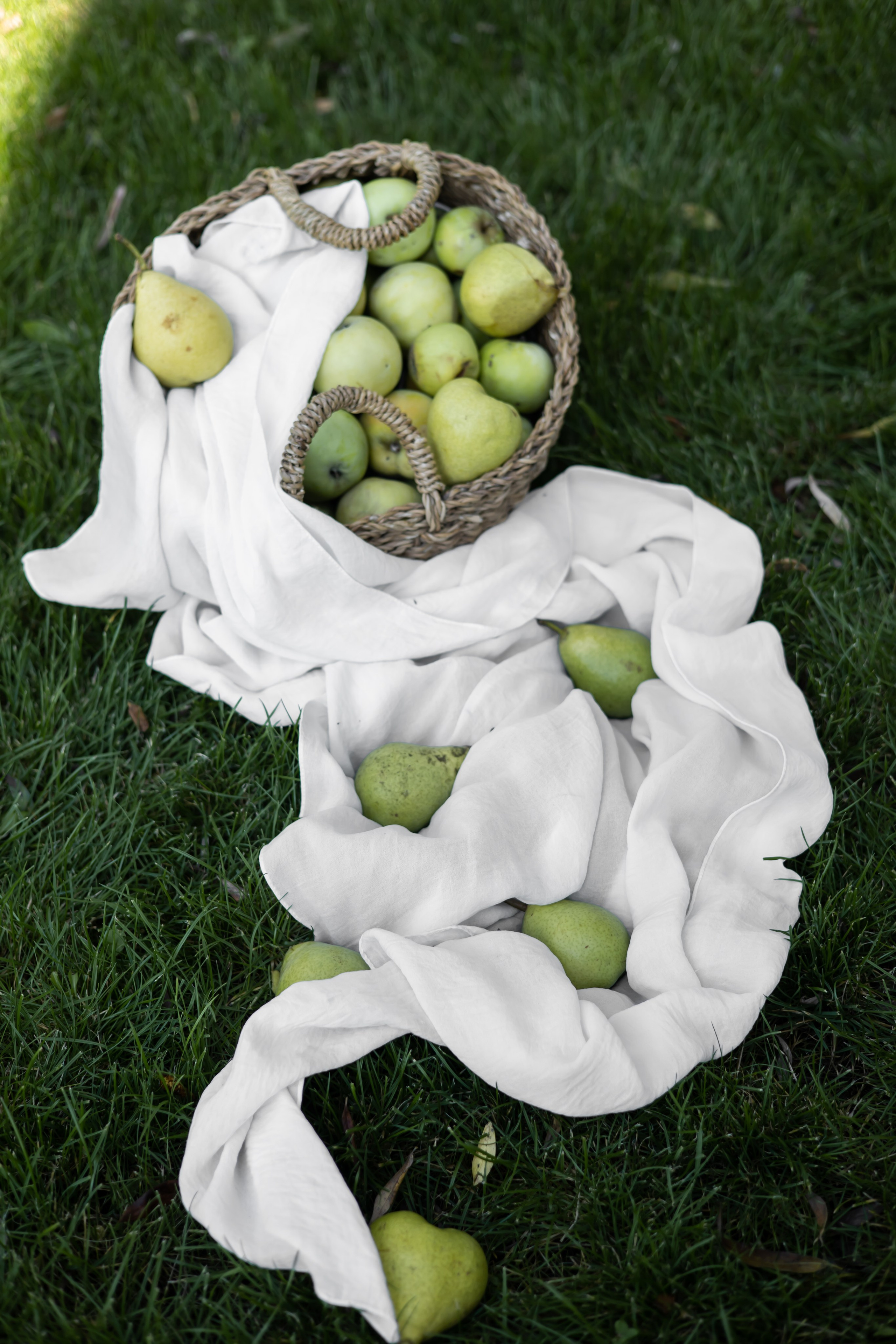 ДИНИЯ. Фотограф Элла Ефимова