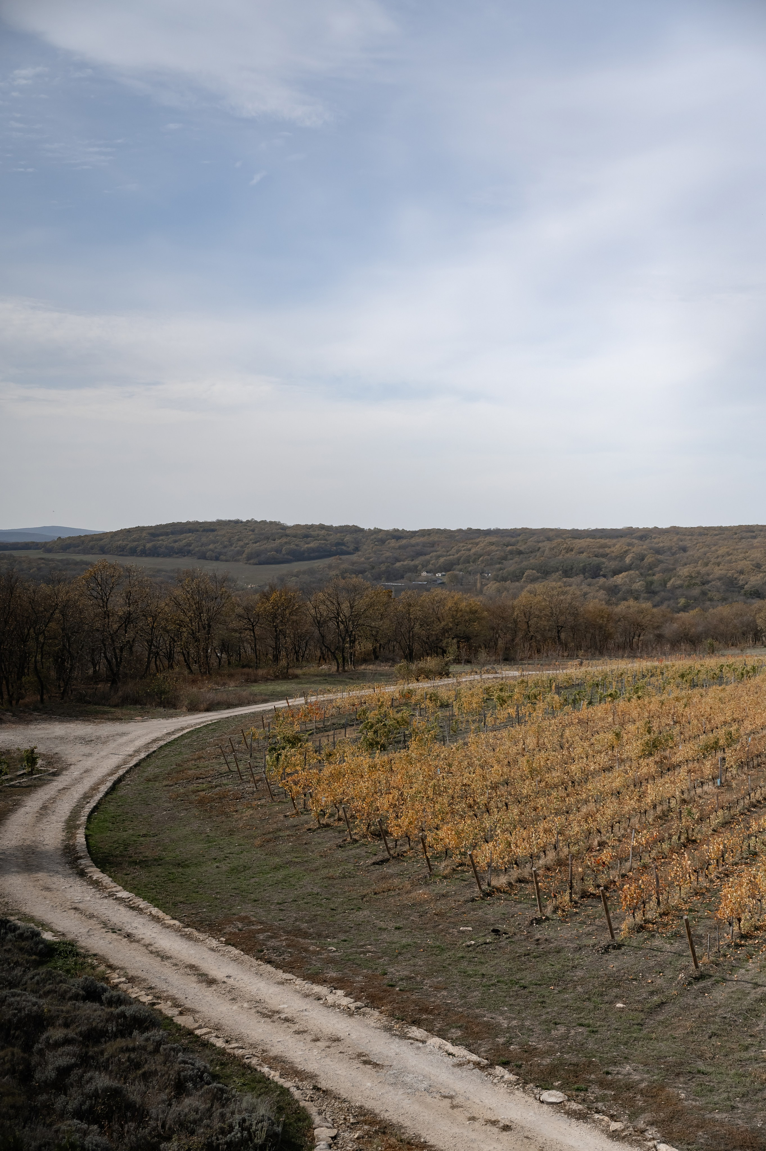 Николай и Екатерина. Свадебный фотограф и видеограф