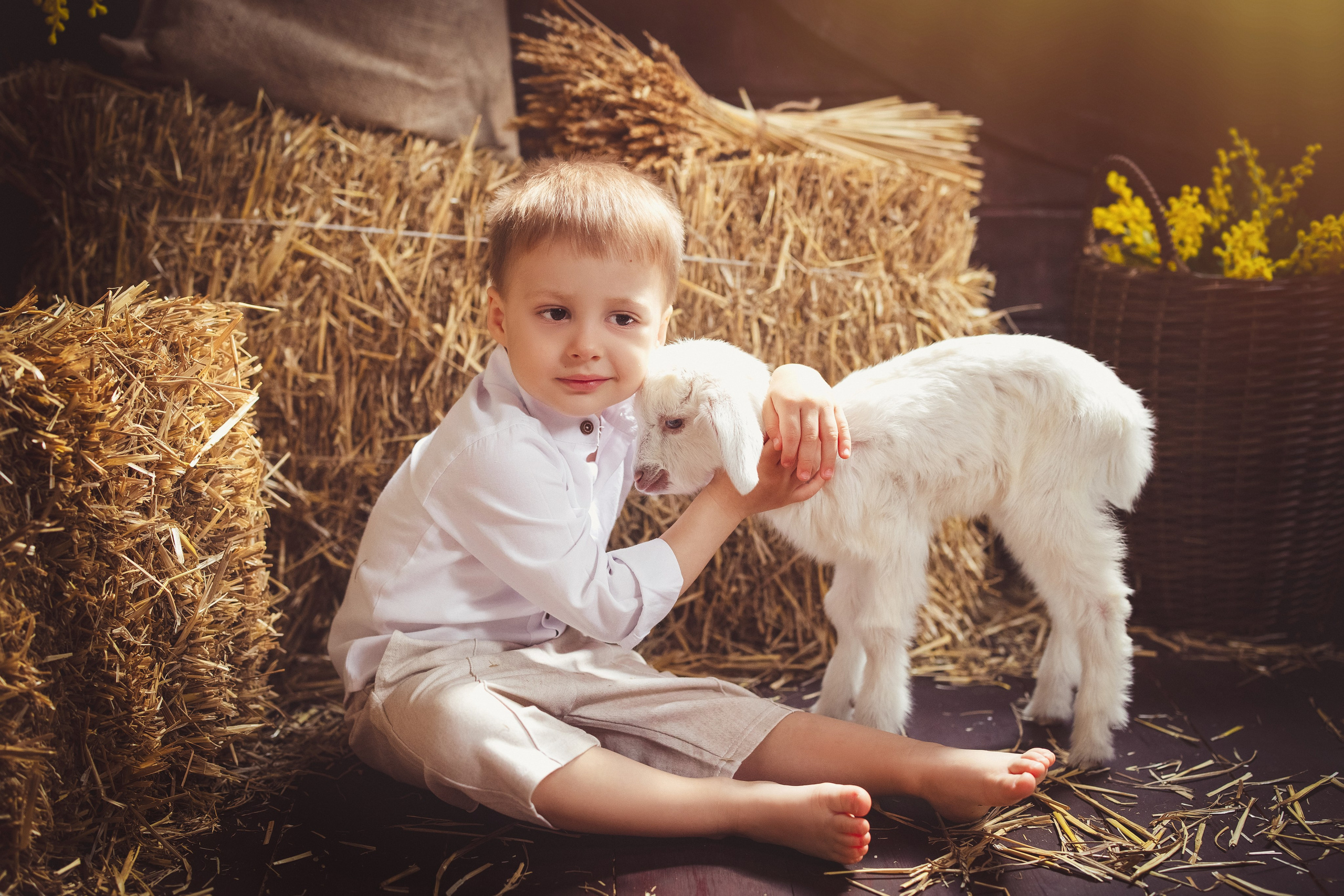 Пасхальный фотопроект с козочкой и утятами, в фотостудии «Эль» 2024 г. Семейный и детский фотограф в Краснодаре Анна Трашкова