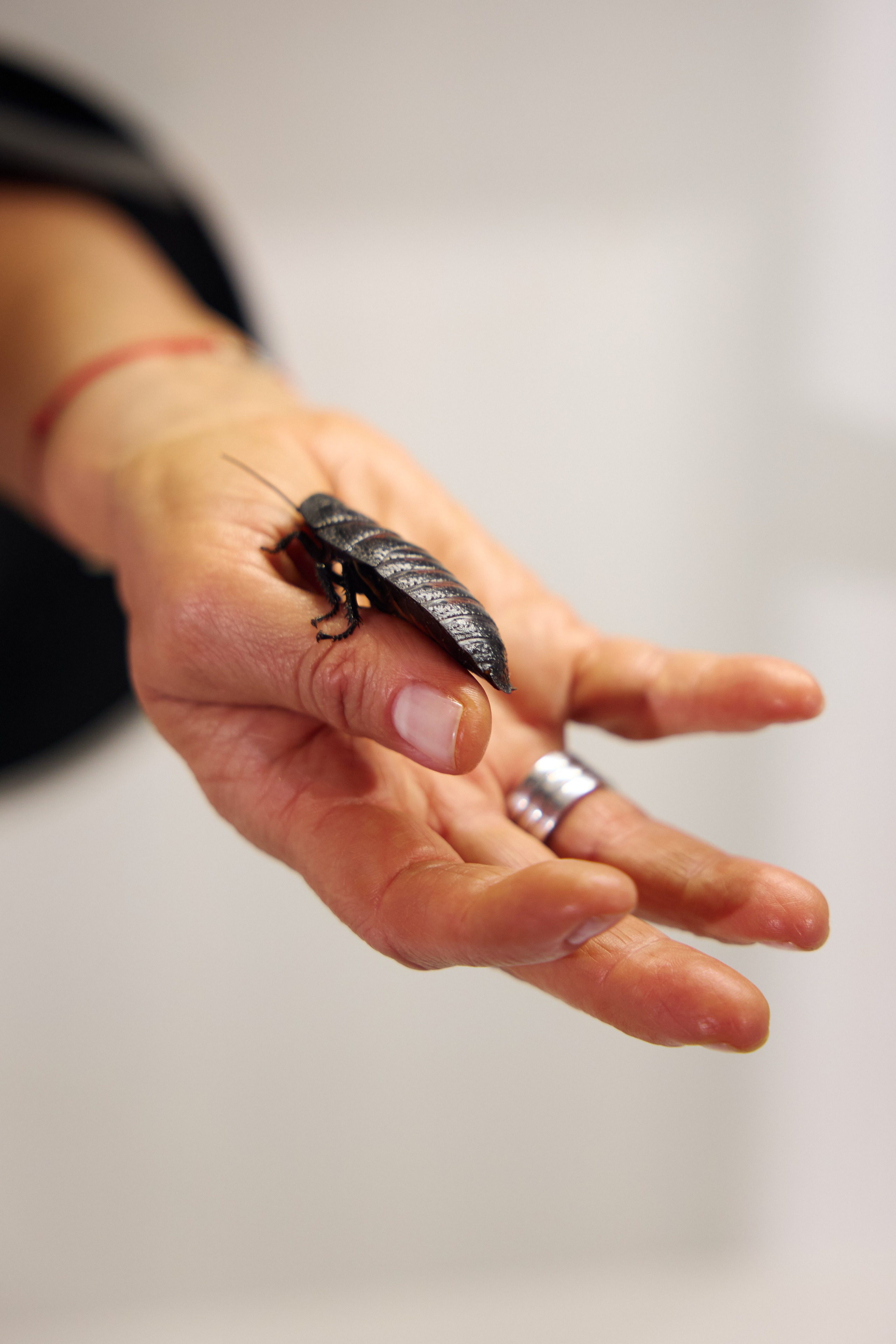 Владимир и Екатерина 2025. Александр Прозоров фотограф в Кирове