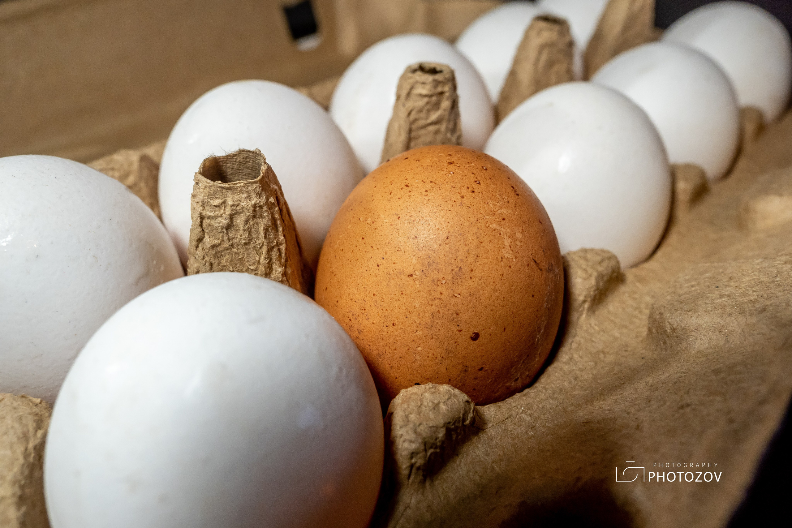 Контент-съемка для блогеров и брендов в Петербурге. Фотограф в Петербурге Олег Золото