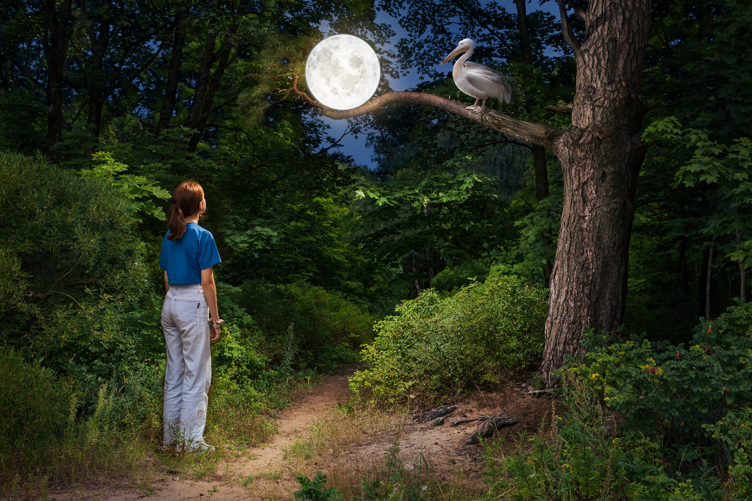 Игорь Третьяков фотограф Санкт-Петербург