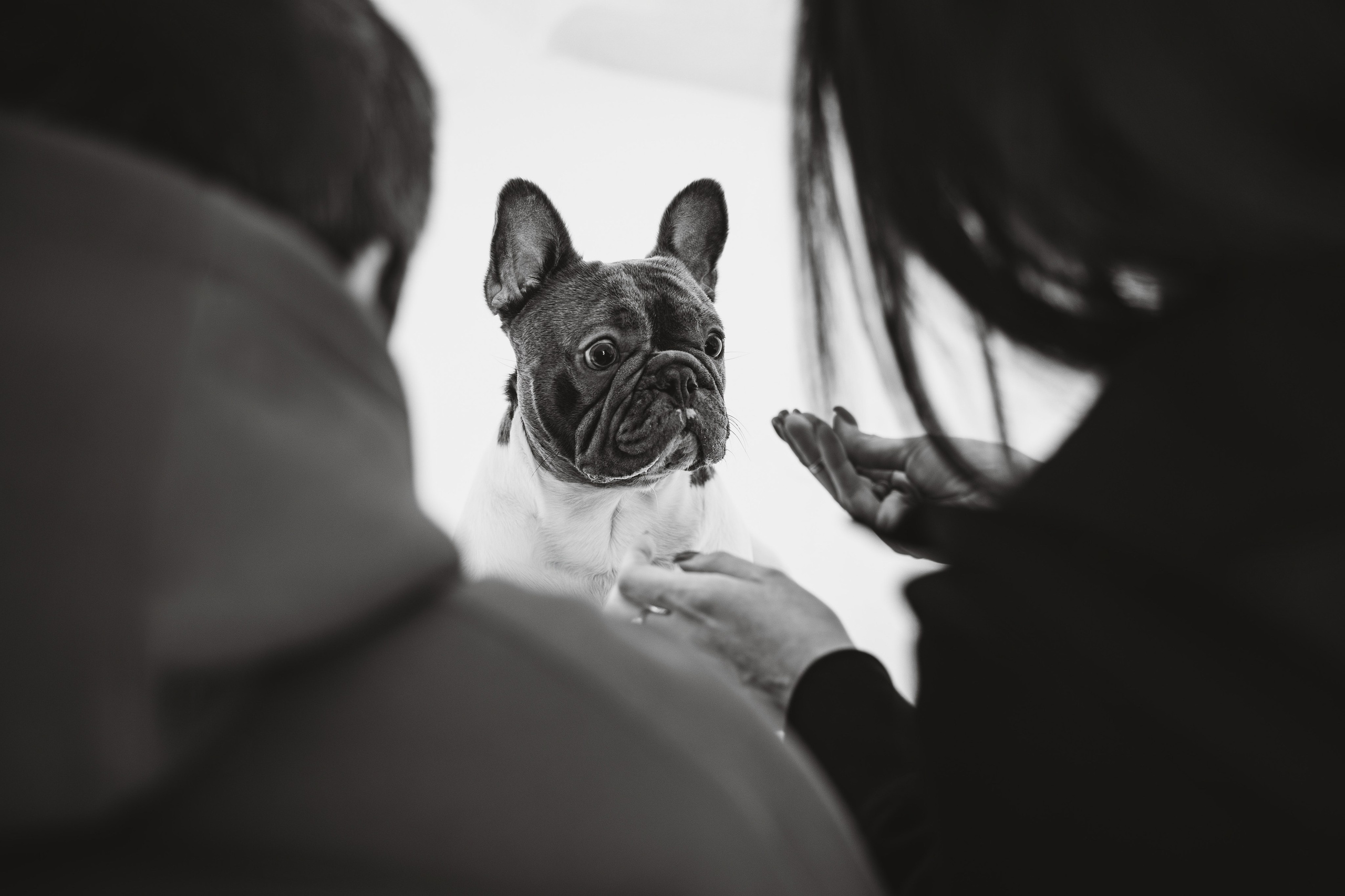 Екатерина, Виталий и Ричи