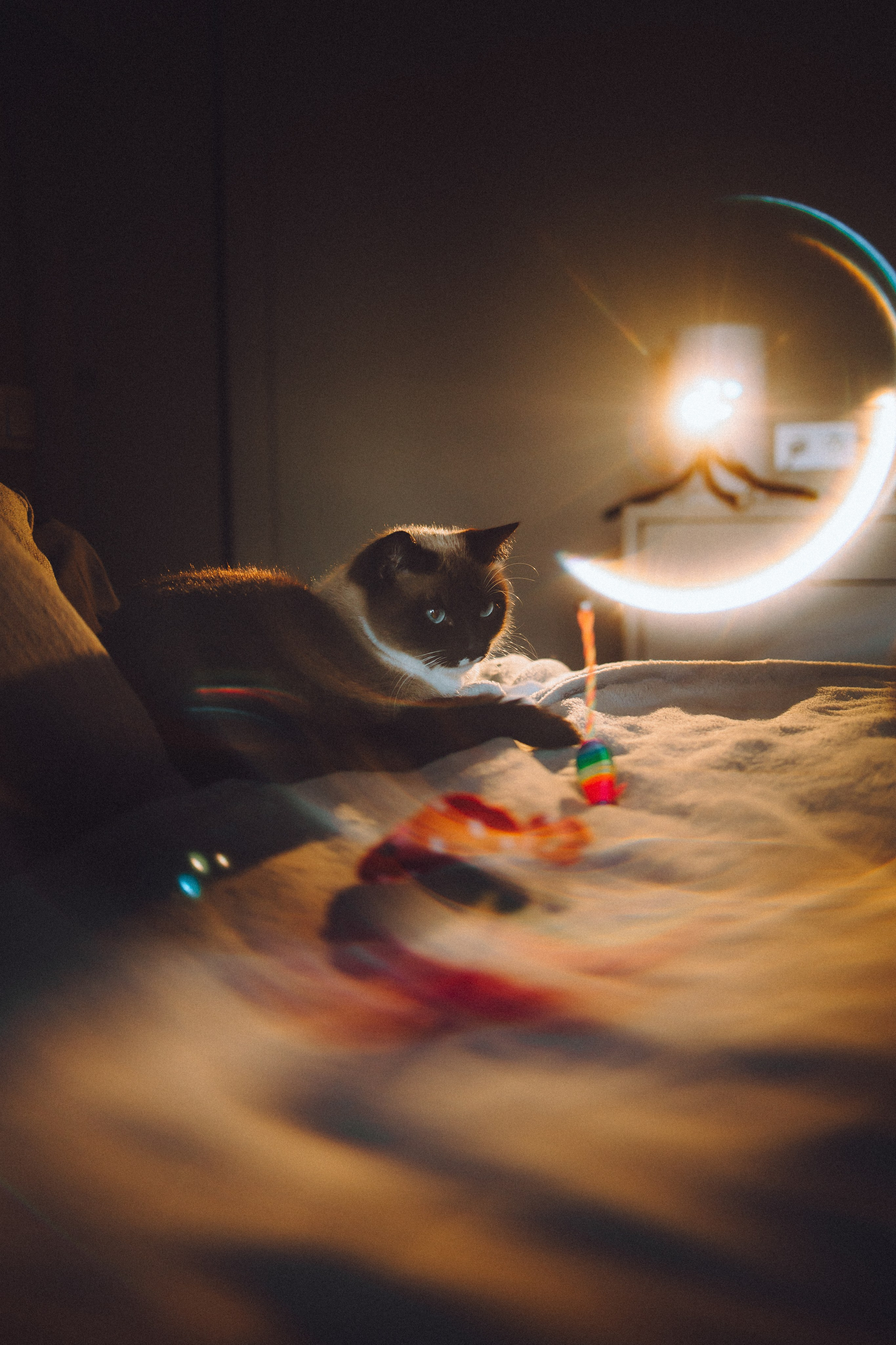 Наташа, Маруся и Зефир