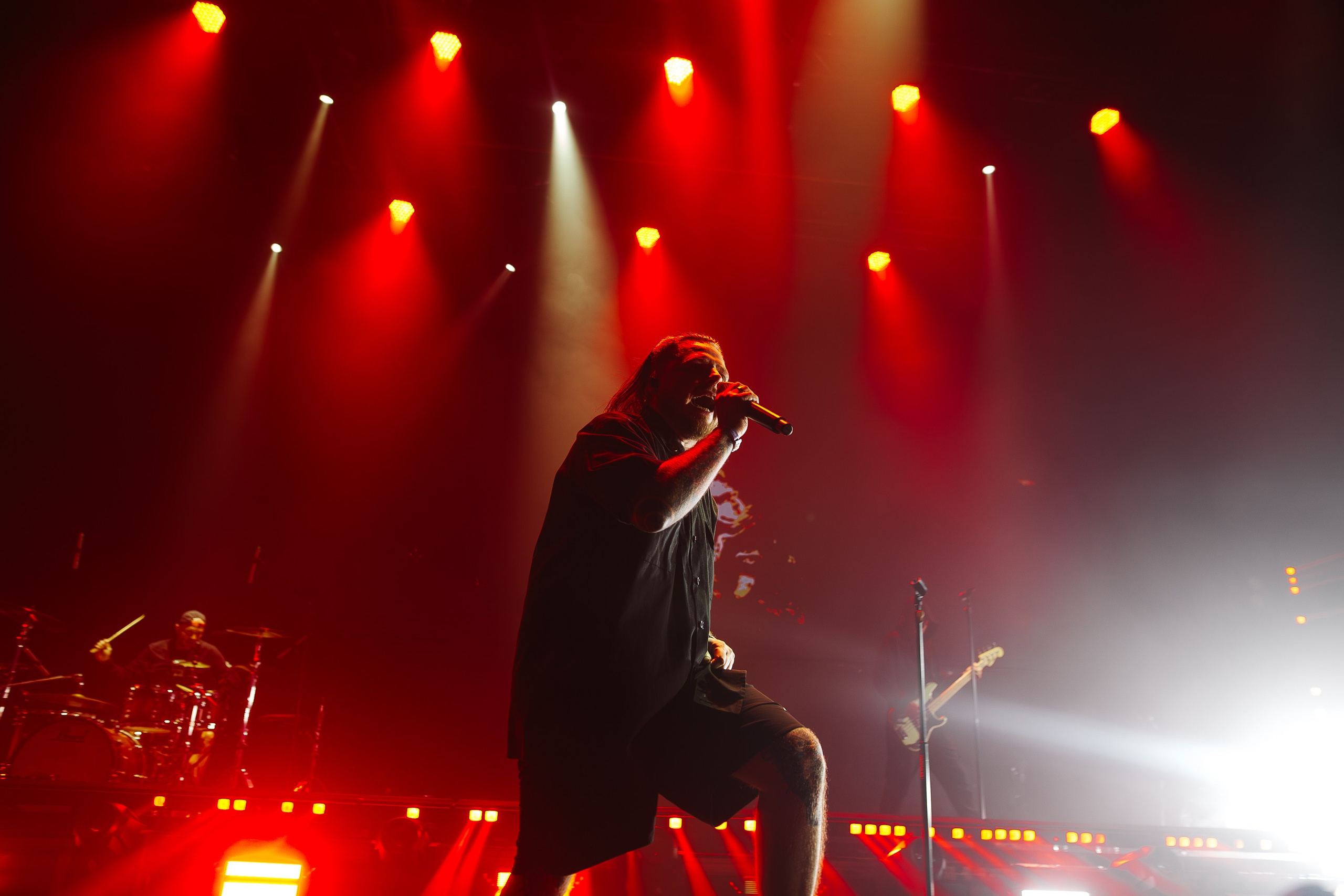 AMATORY. Base. 07.01.2025. Главная