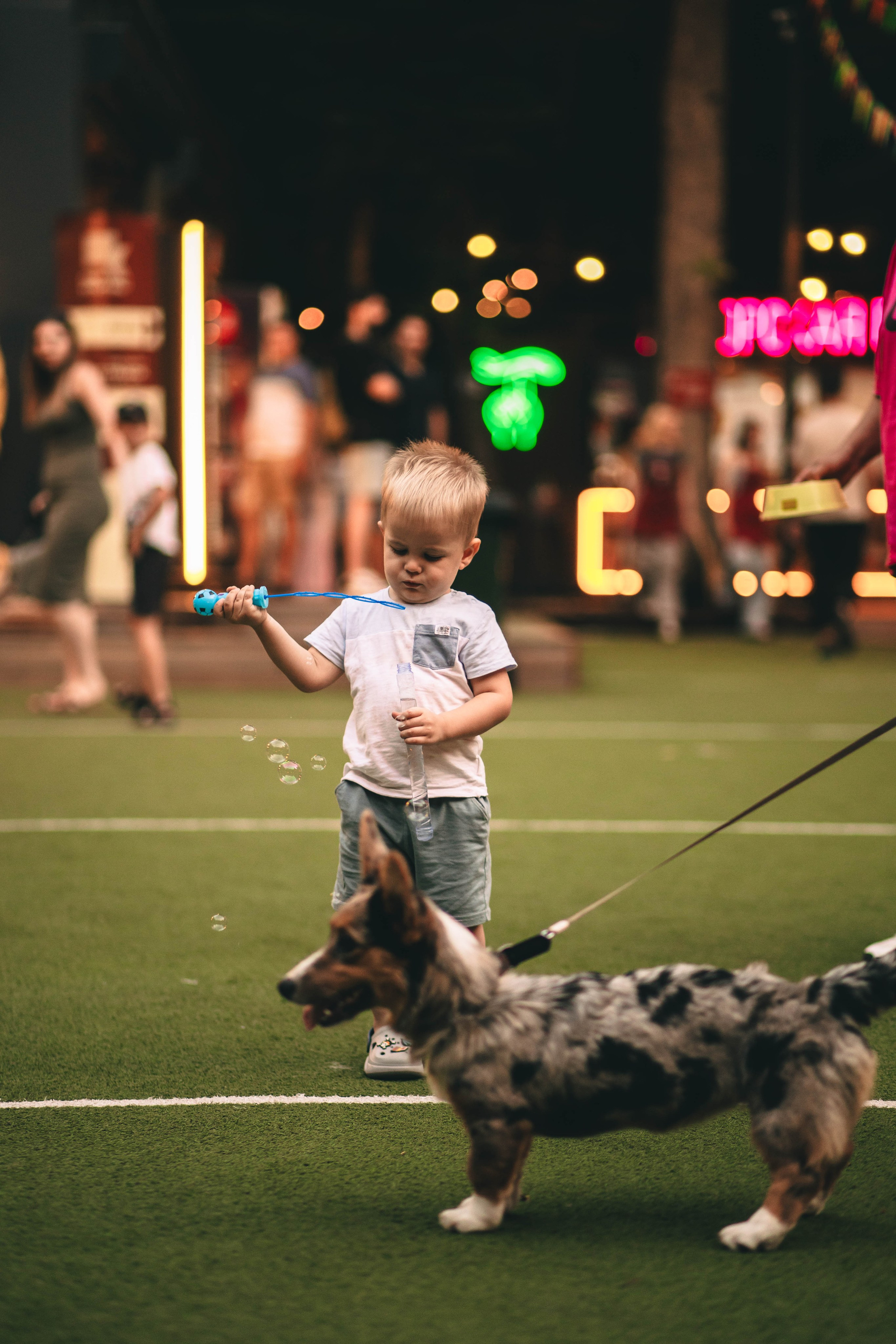 Pet-Party + Live-music |Парк Культуры. Фотограф в Ставрополе Алина Клочкова