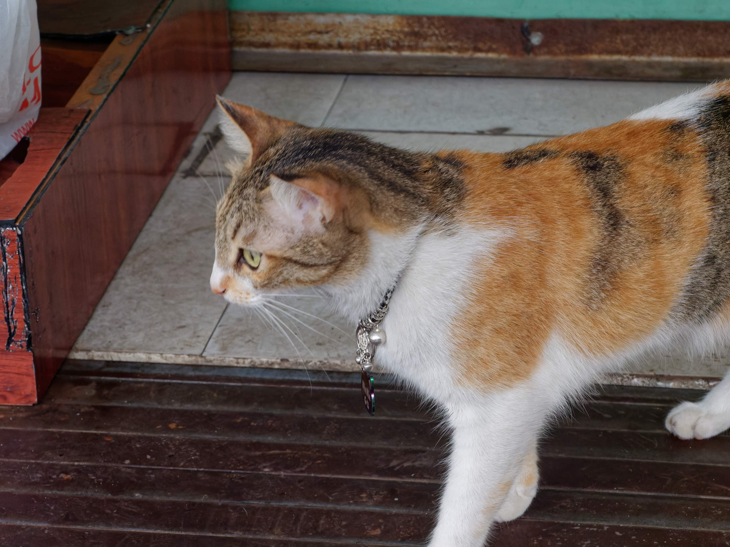 Нячанг 2025 (4). Избранные фотографии