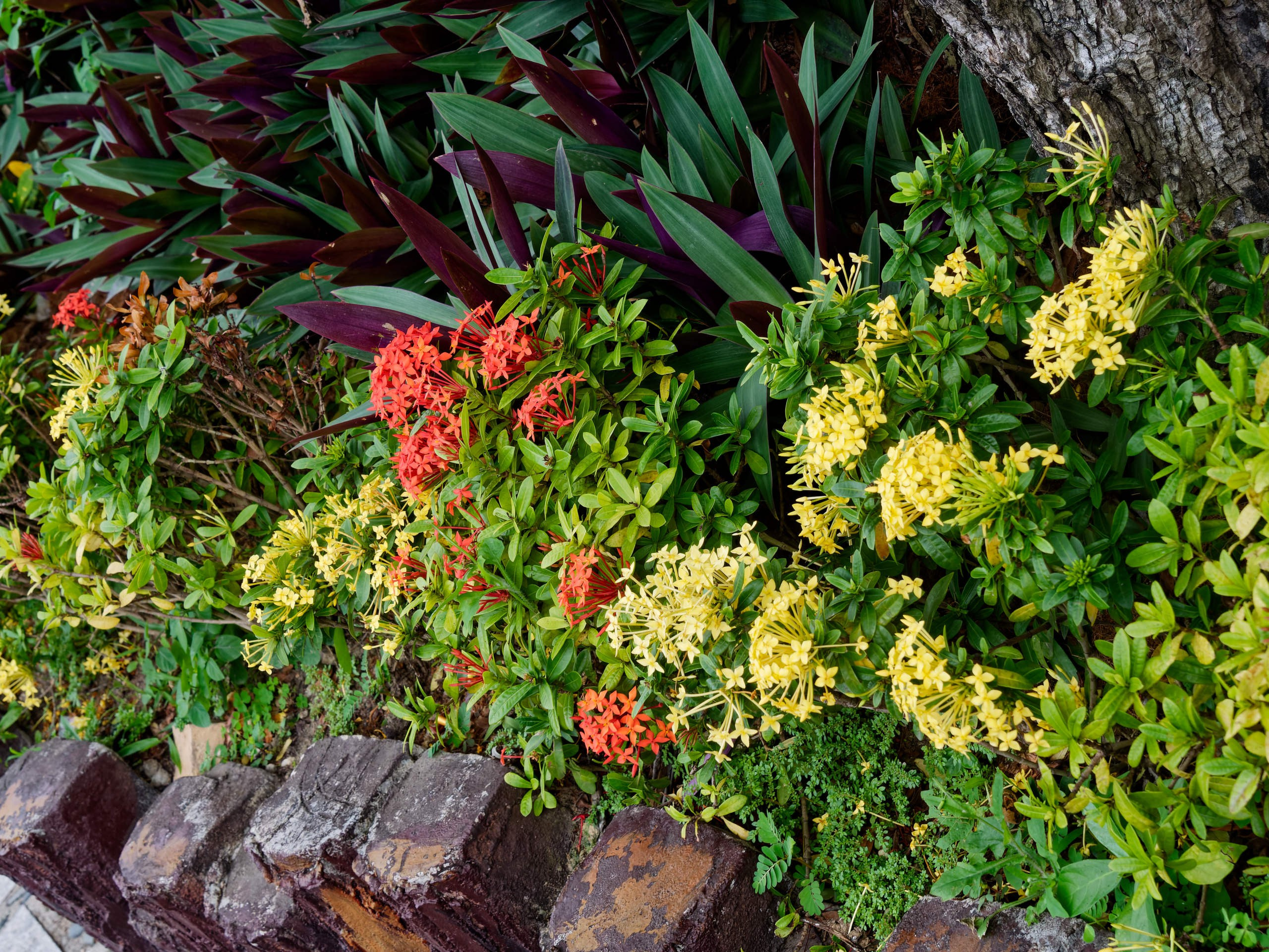 Нячанг 2025 (4). Избранные фотографии