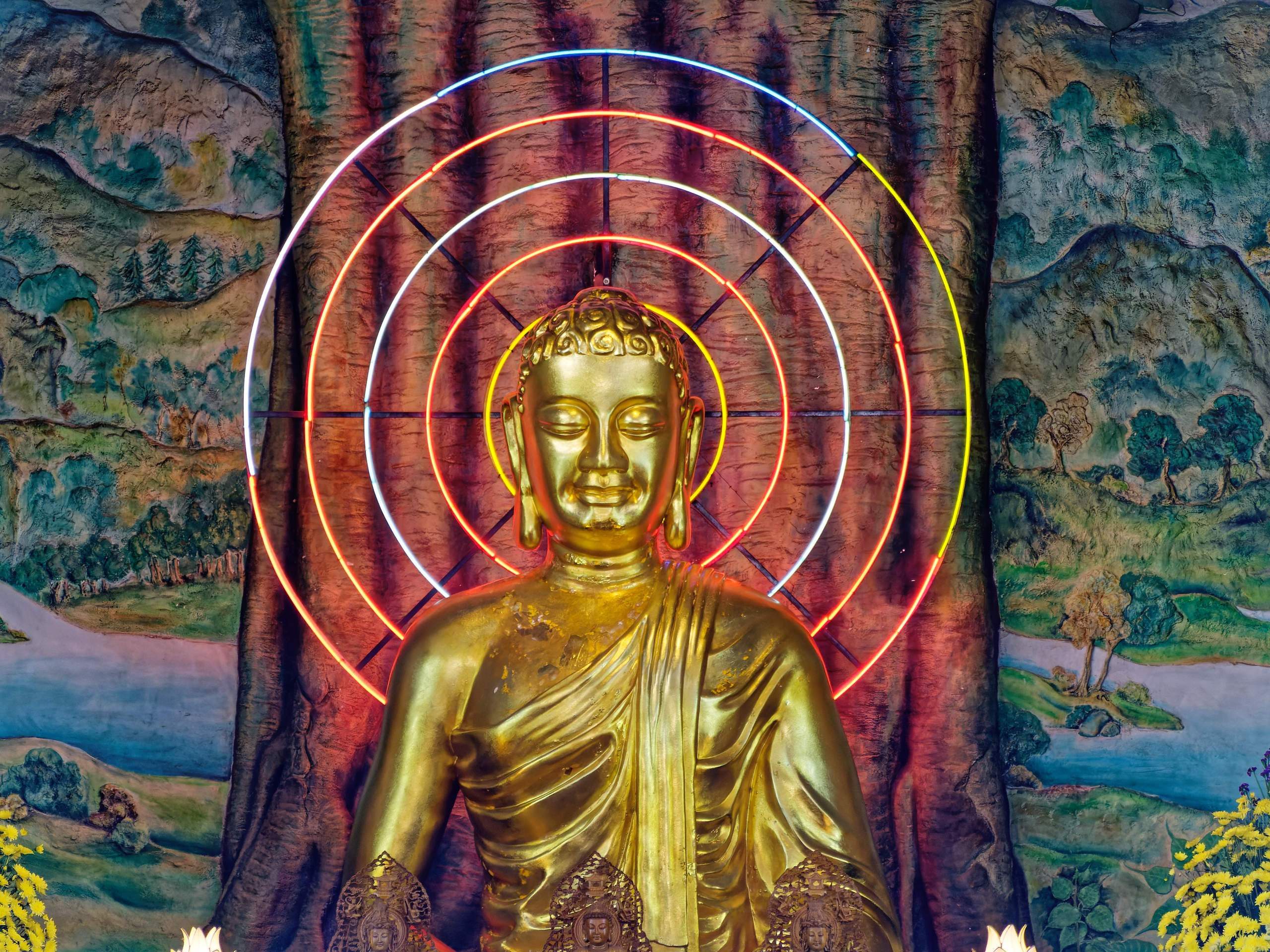 Далат 2023. Избранные фотографии