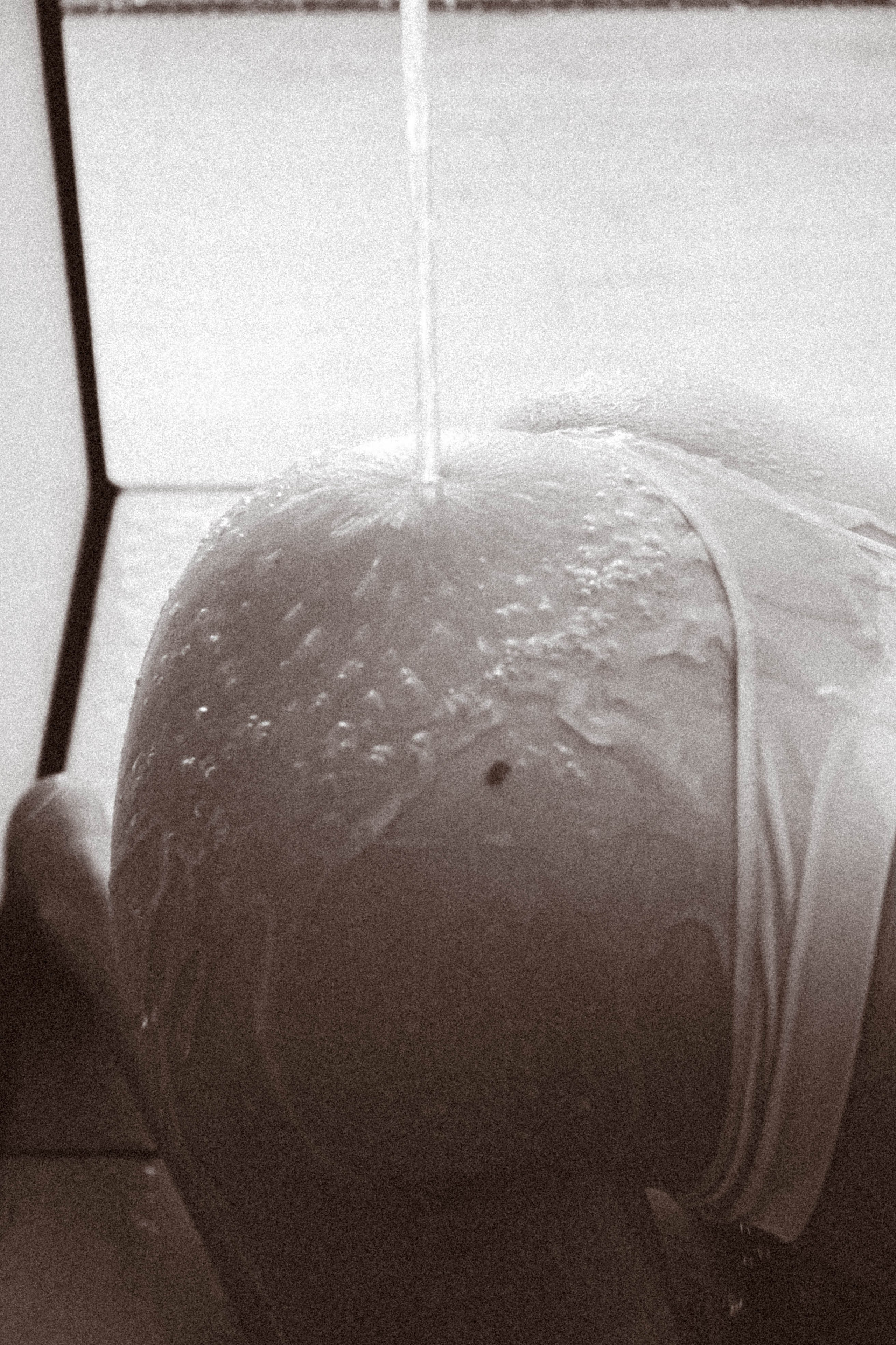 Студийная для Анастасии. Профессиональный фотограф, Санкт-Петербург — Виктория Богомолова